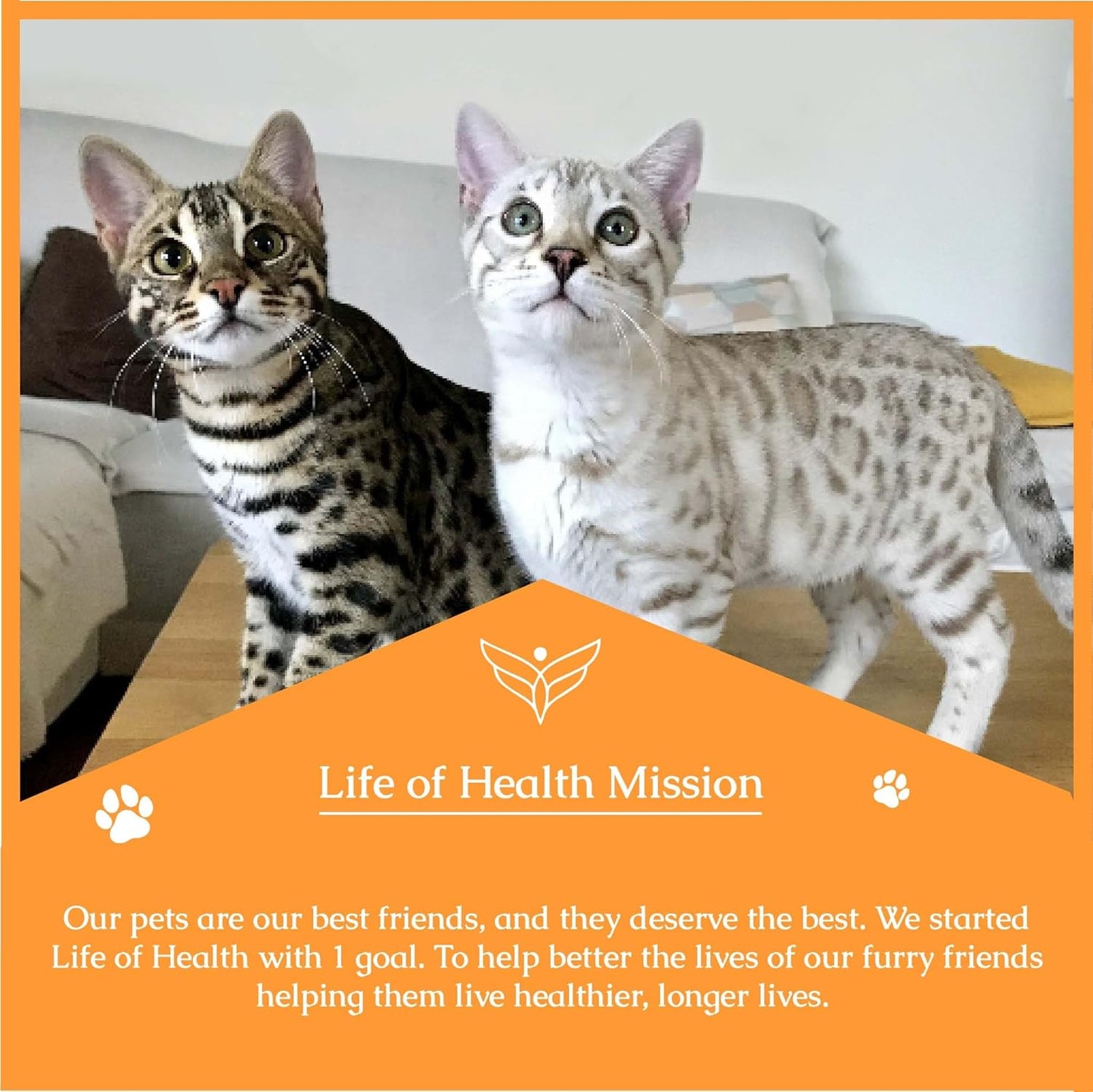 Natural Antibiotics for Cats - Immune Support & UTI Relief - Pet Multivitamin Supplement (2 Pack)