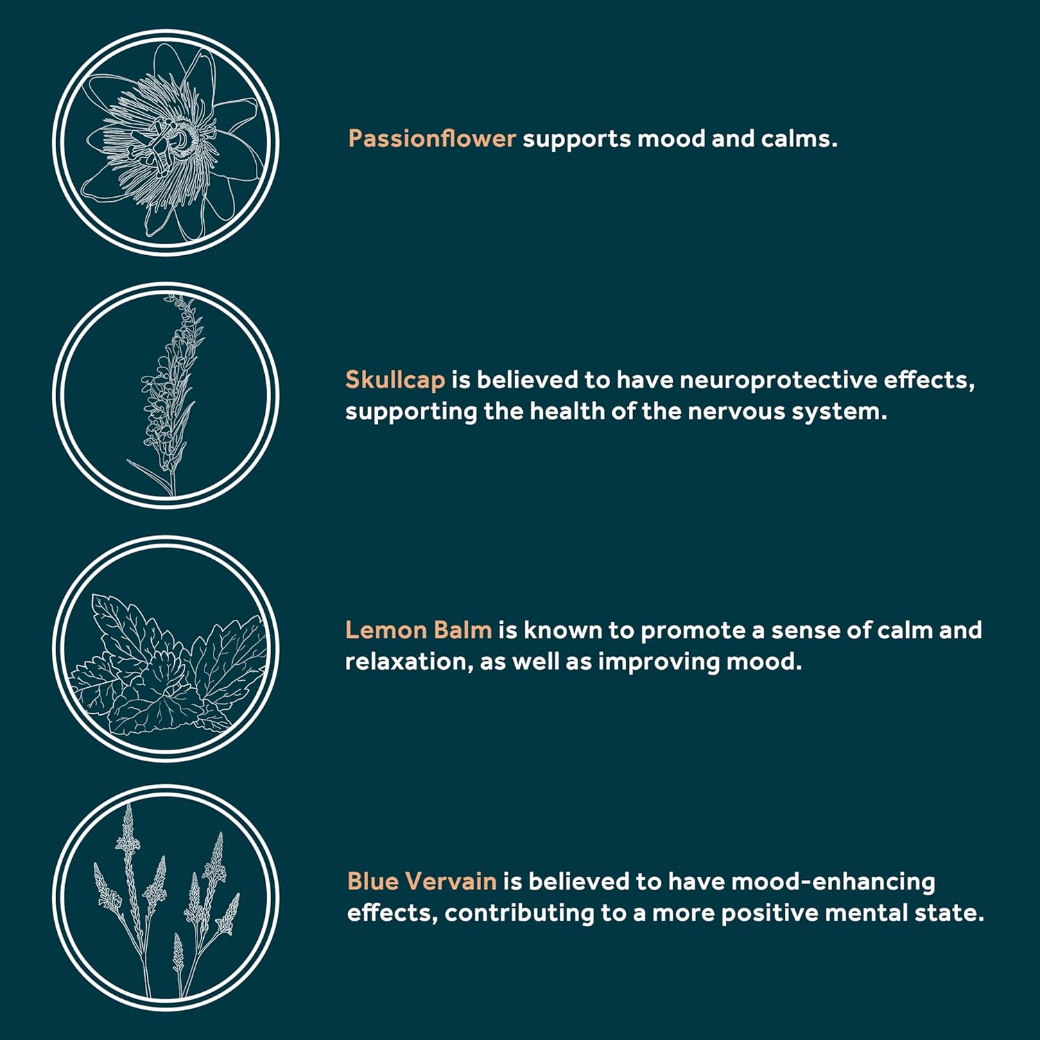 Natural Berry Stress Relief Supplement with Ashwagandha, L-Theanine, and Holy Basil - 60 Vegan Capsules for Mood and Focus