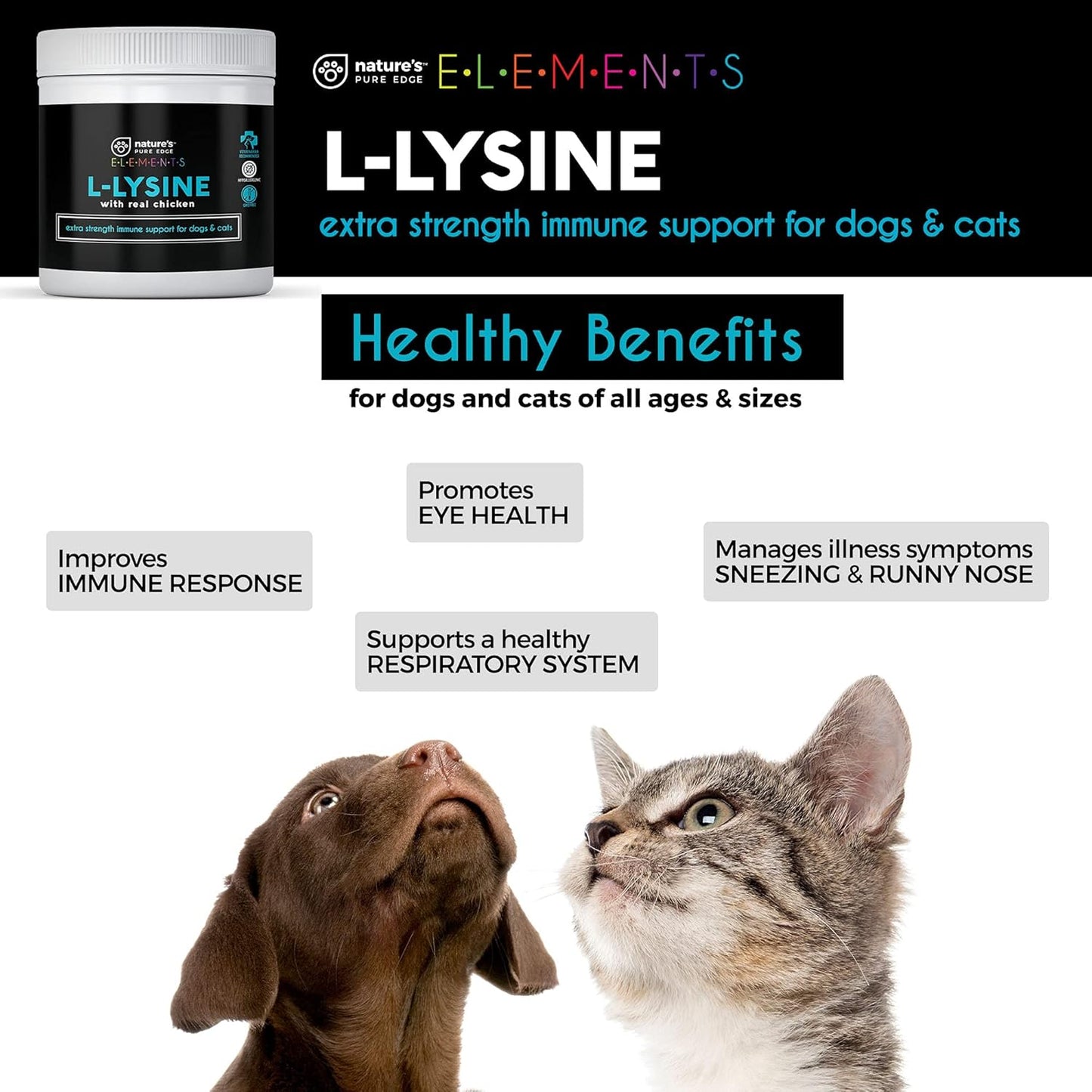 Natural Chicken Flavored L-Lysine Powder for Cats and Dogs - Extra Strength Immune Support and Respiratory Health - 125g