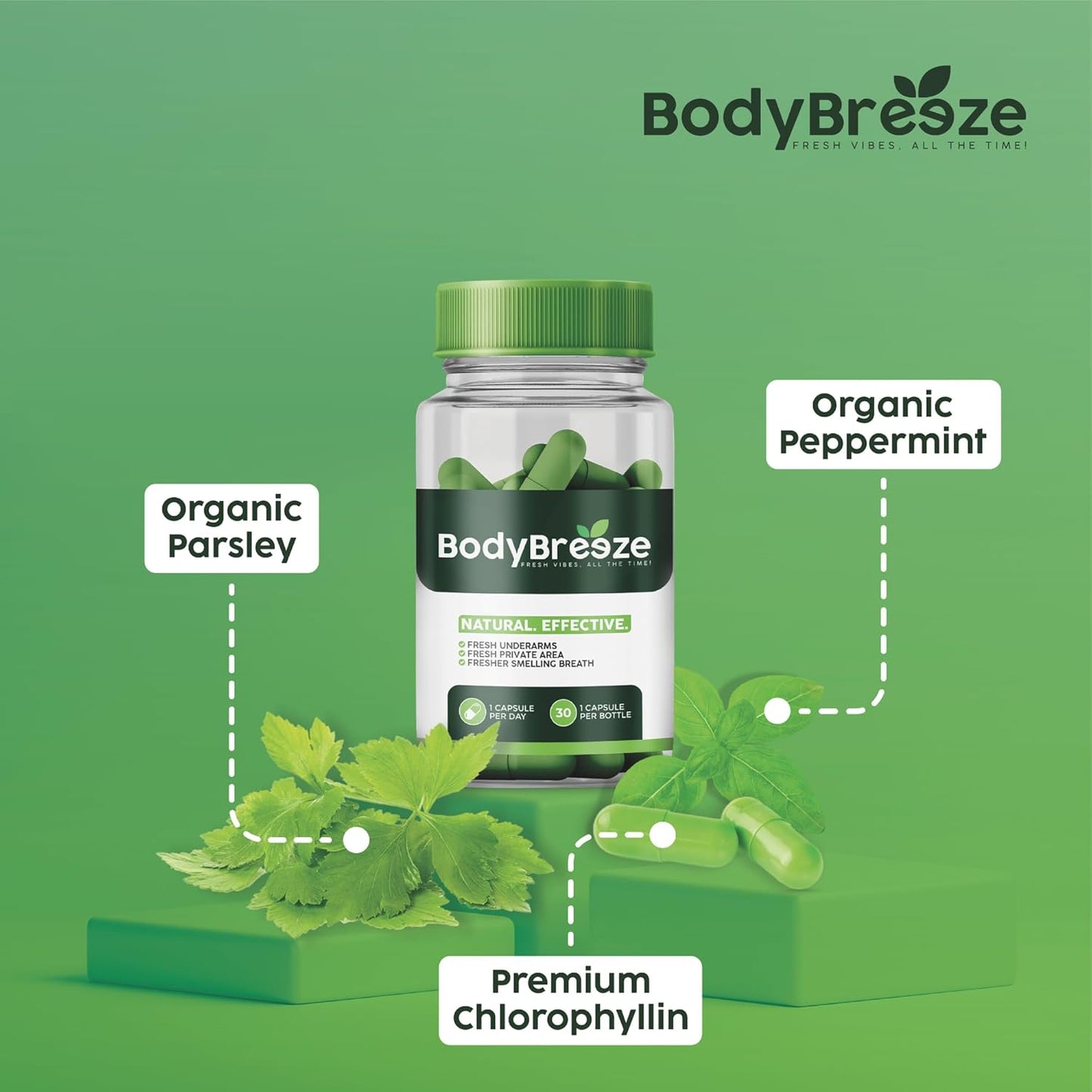 Natural Chlorophyll Supplement for Body Odor Control, Gut Health, and Fresh Breath - 60 Vegan Capsules for Detox Support and Skin Health - Odor Eliminator for Men & Women