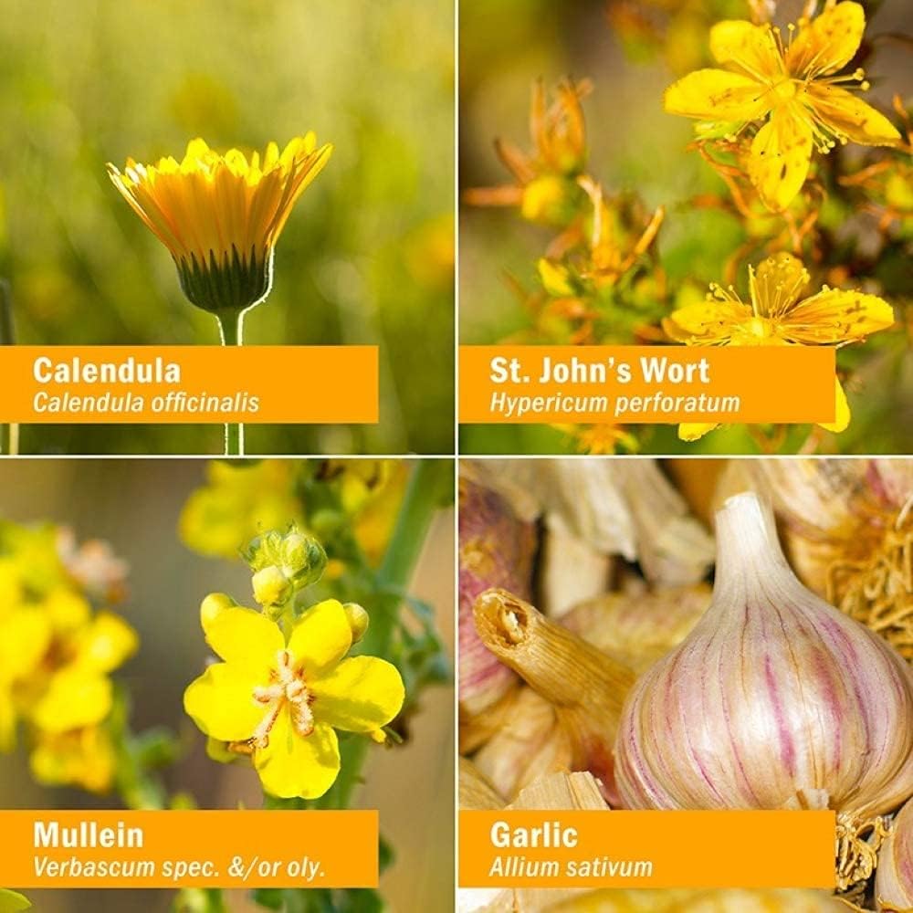 Natural Cold Relief Bundle for Kids: Mullein Garlic Oil & ColdCalm Baby Drops - 1 Fl Oz & 30 Count