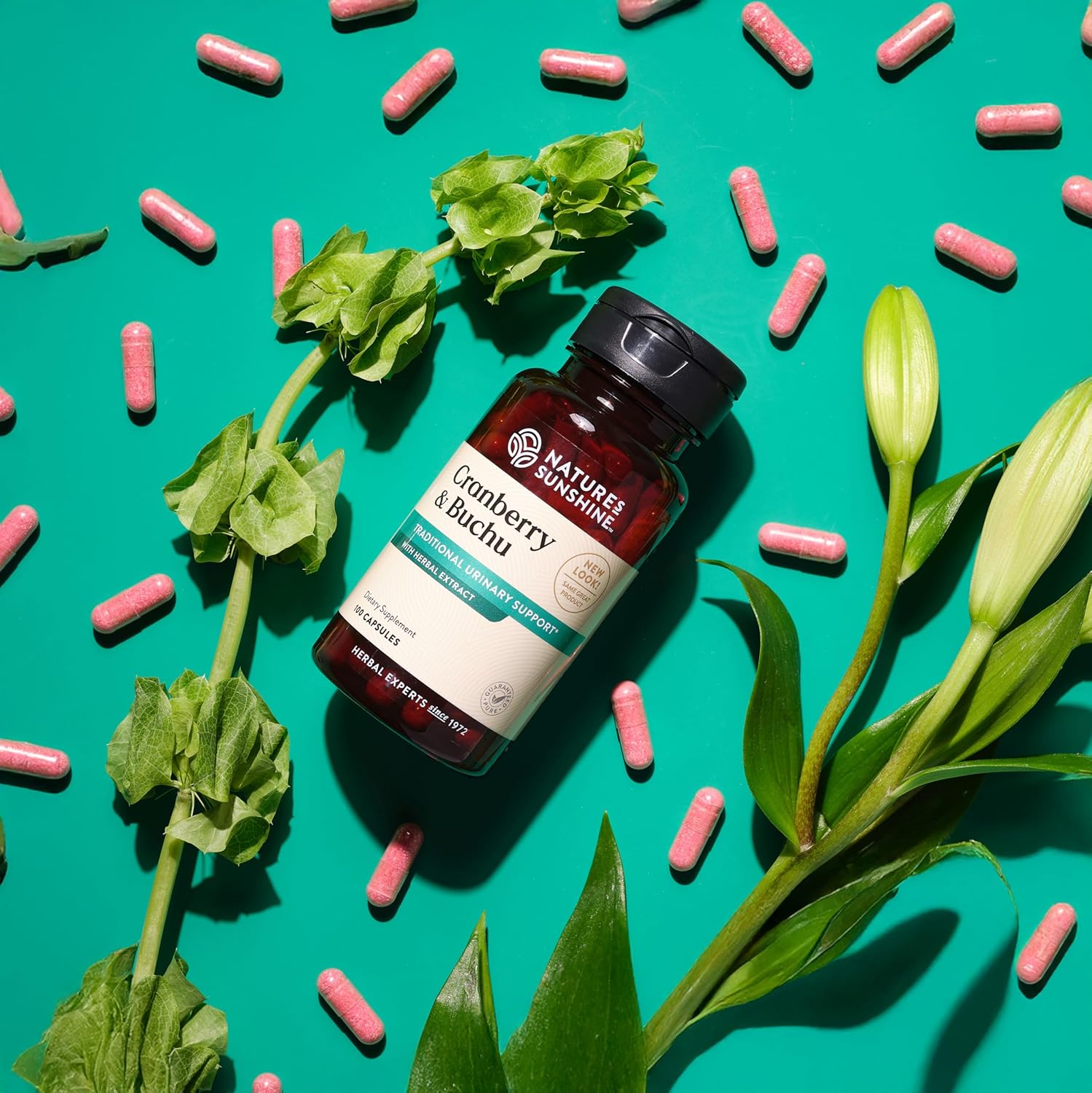 Natural Cranberry and Buchu Concentrate Capsules - 100 Count