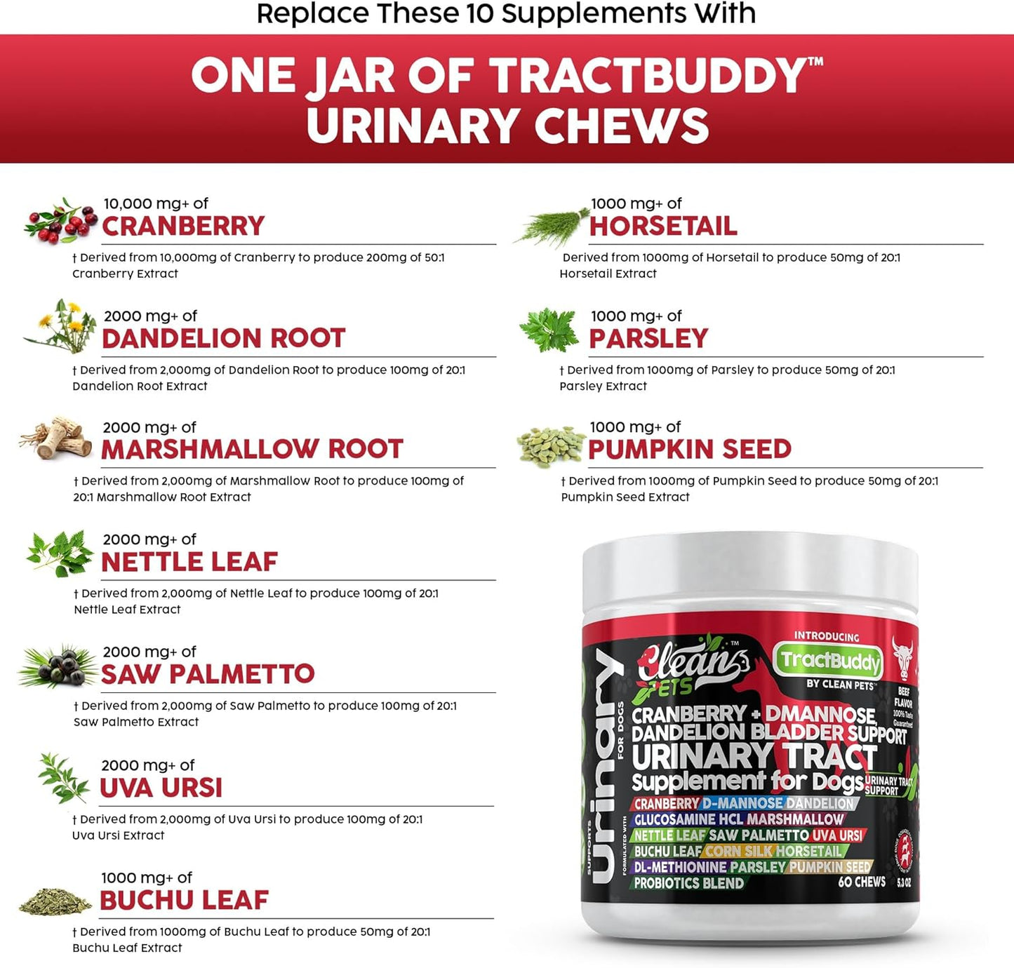 Natural Dog Urinary Tract Support with Cranberry, D-Mannose, and Herbal Ingredients for Bladder Health and UTI Prevention