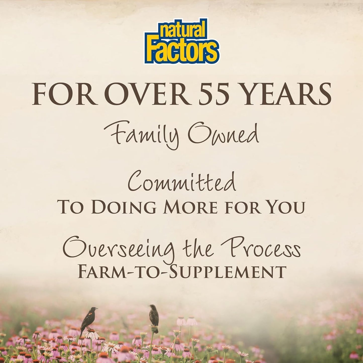 Natural Factors CurcuminRich Joint Curcumizer Capsules - Joint & Heart Support with White Willow - 60 capsules