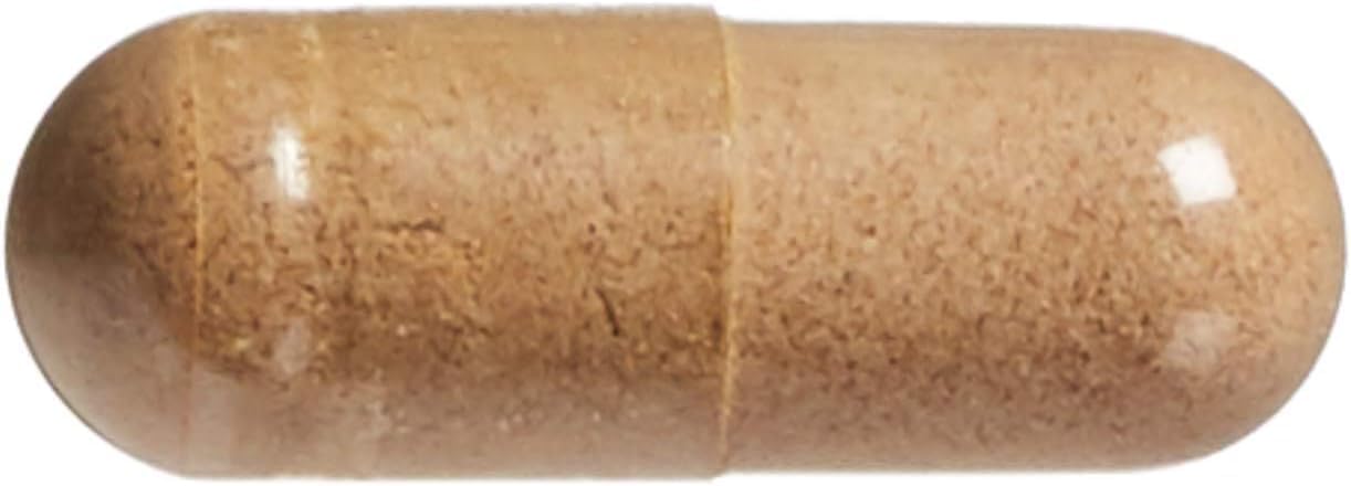 Natural Factors Ginkgo Biloba HerbalFactors Capsules - Memory & Brain Support - 60 Servings