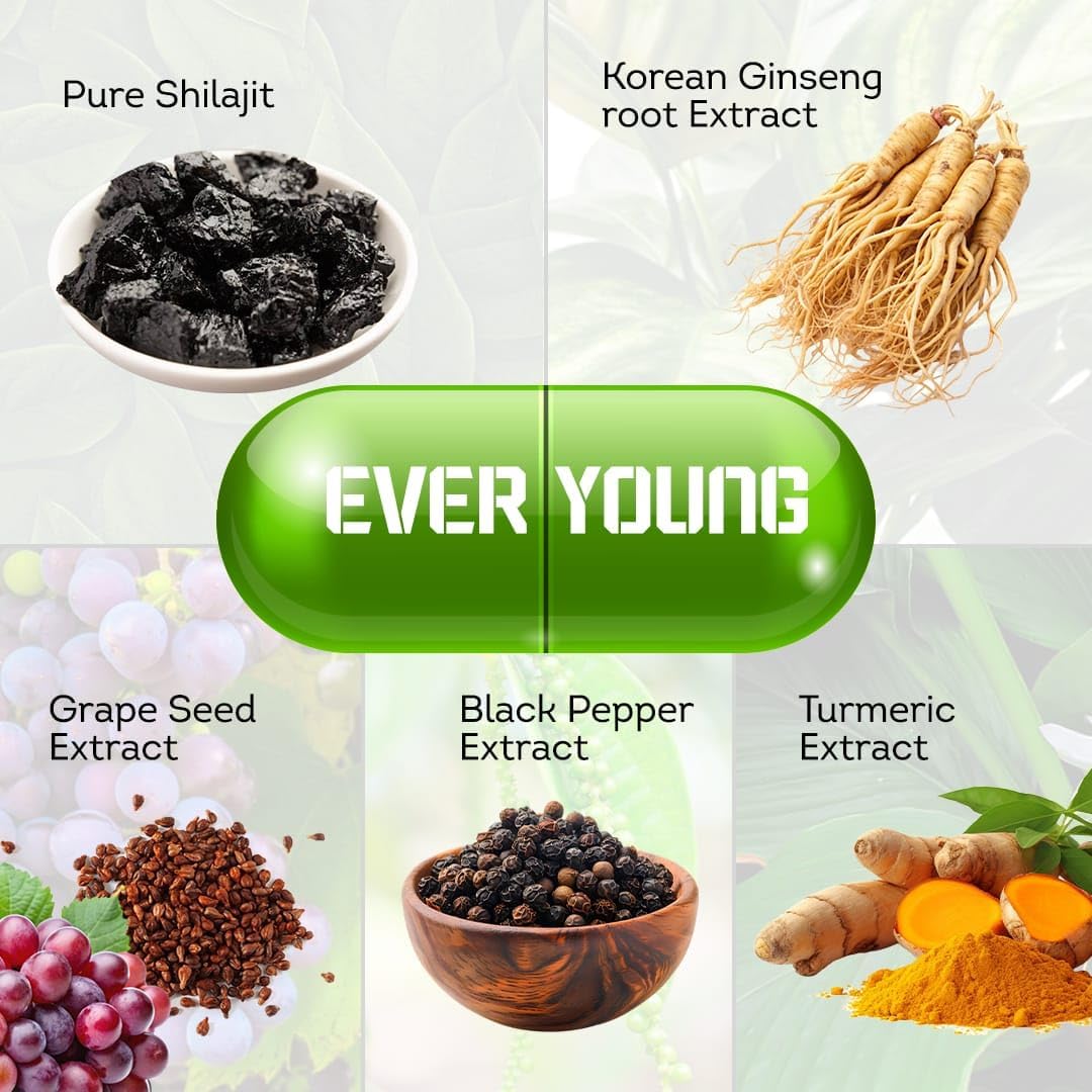 Natural Ginseng Anti-Aging Supplement - 60 Capsules by Naturesactiv