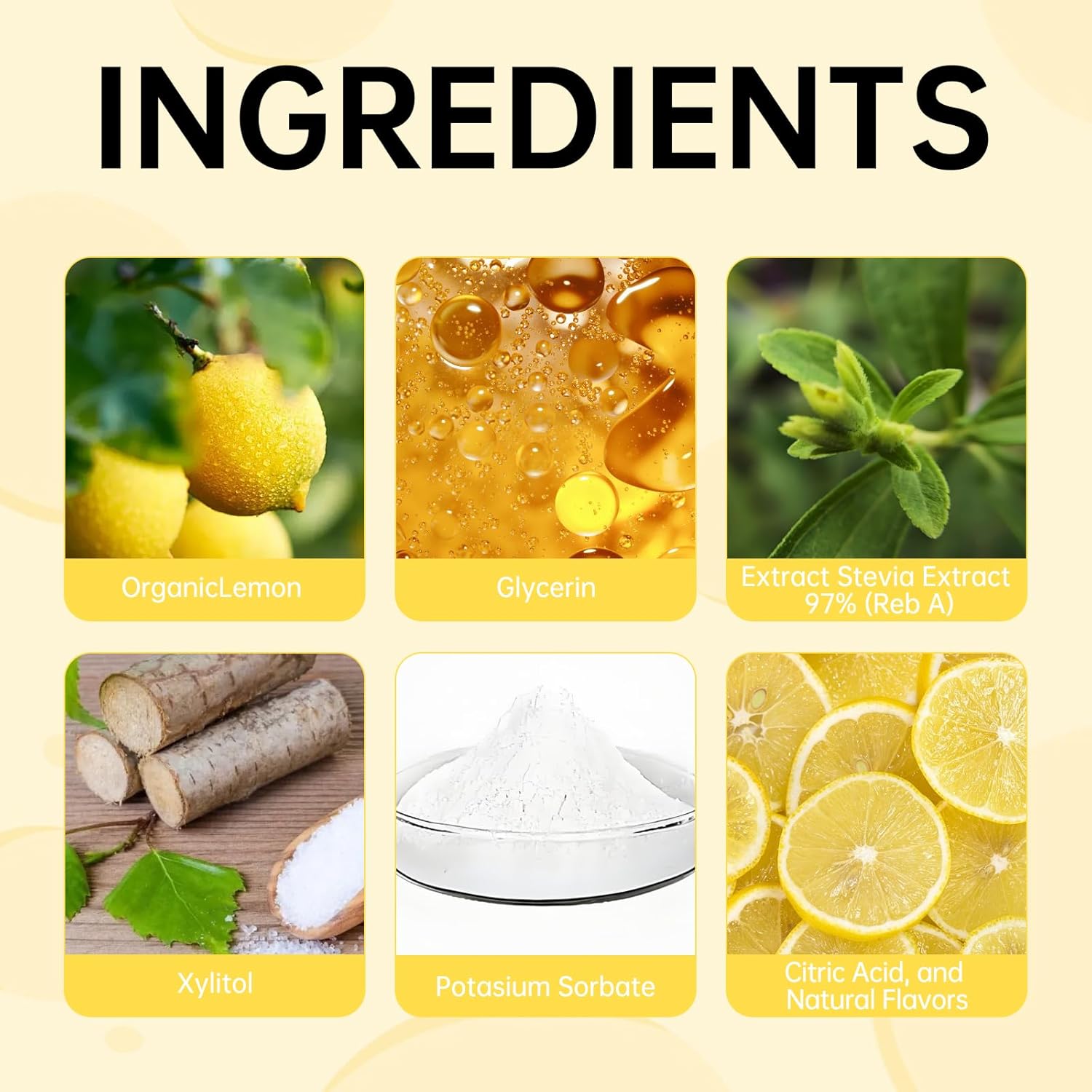 Natural GLP-1 Supplement Drops for Bariatric Patients - 3 Pack of Loroc'e Bari Liquid Drops