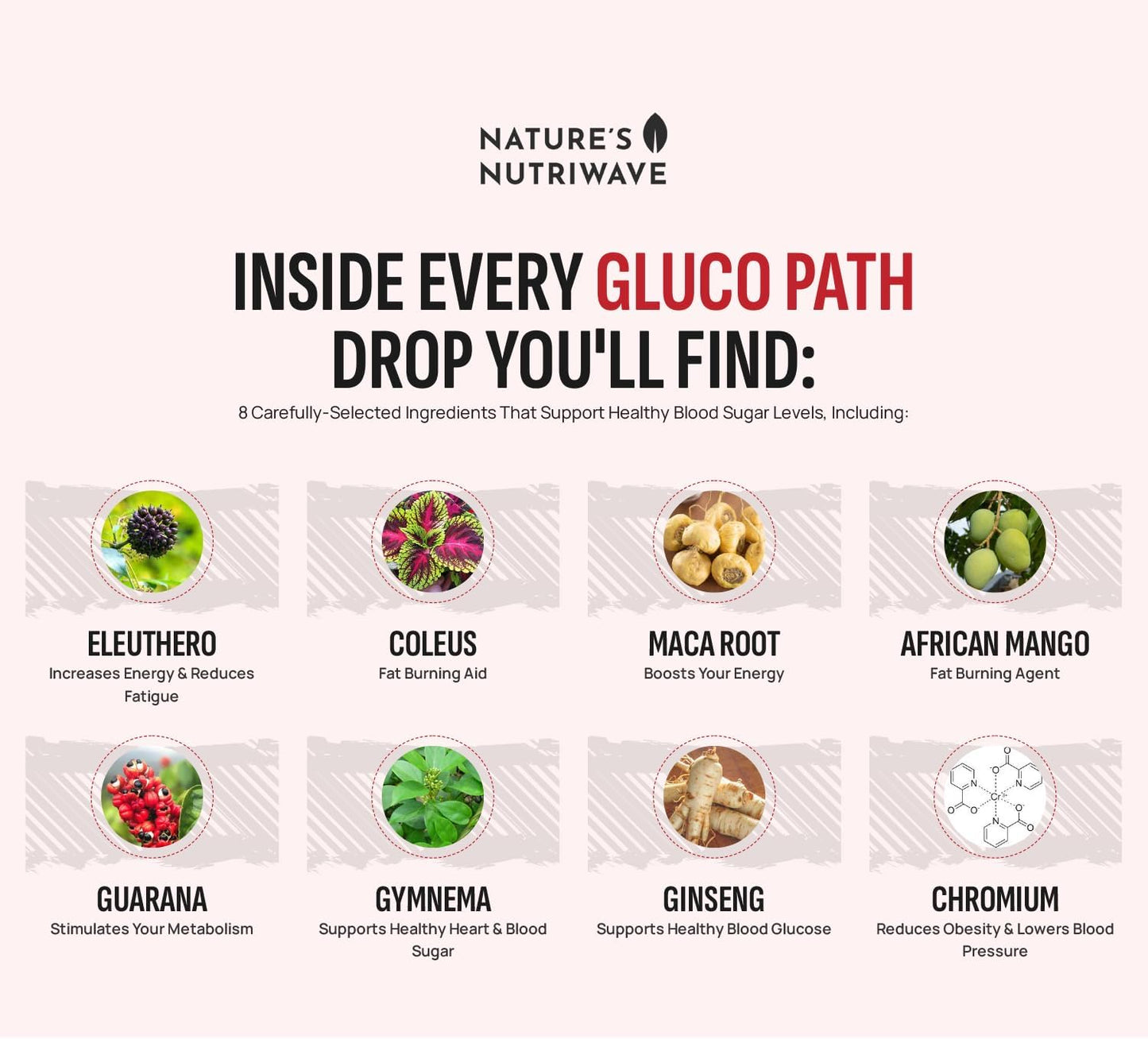 Natural Glucopath Drops for Energy Boost & Wellness Support - 2 Fl Oz, 59ml