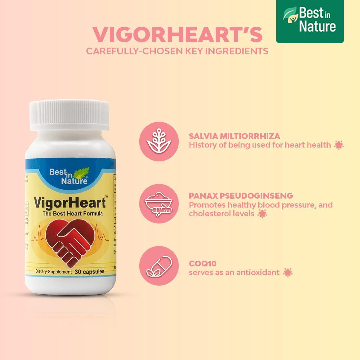 Natural Heart Health Supplement with Coq 10, Salvia Miltiorrhiza, and Panax Pseudoginseng - 30 Capsules
