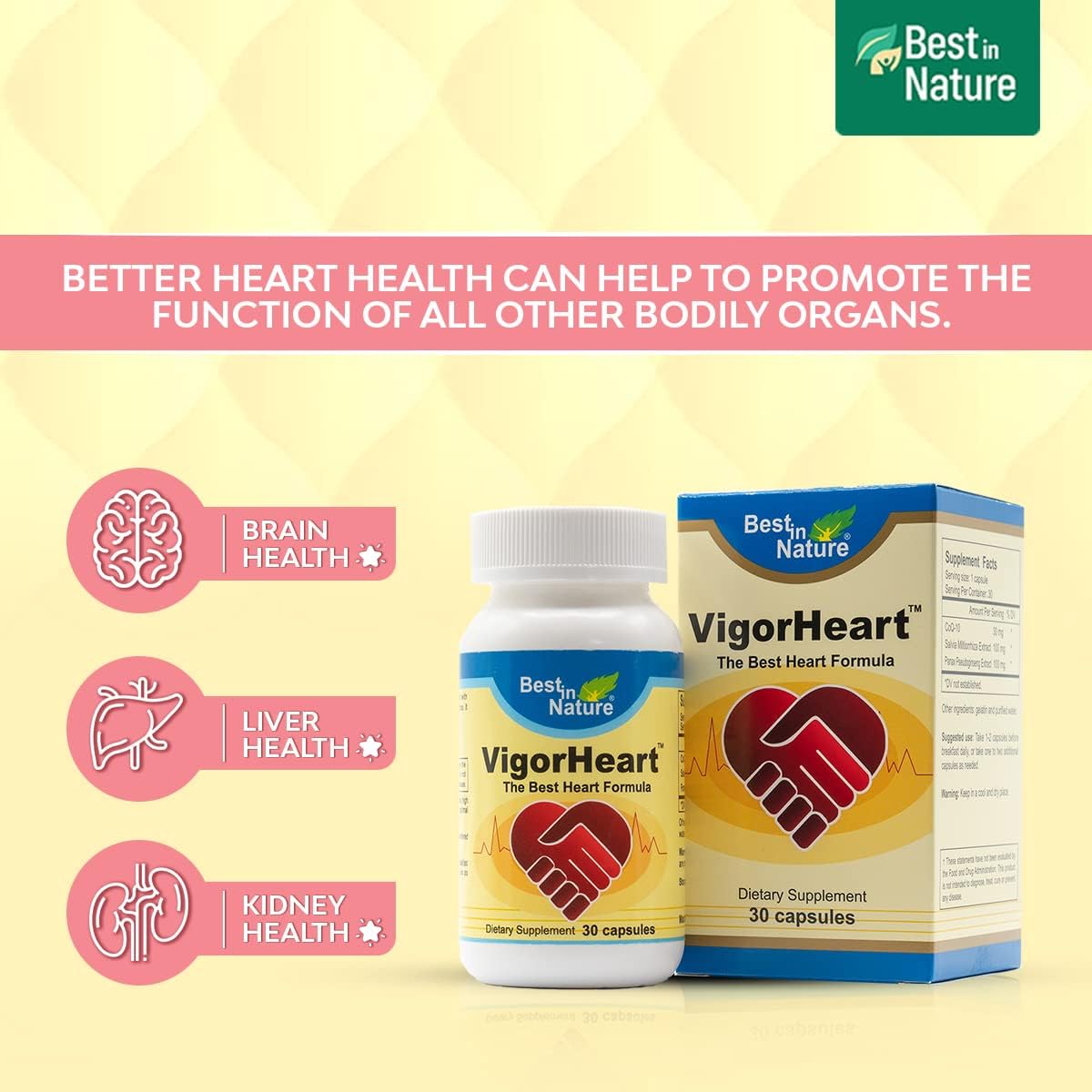 Natural Heart Health Supplement with Coq 10, Salvia Miltiorrhiza, and Panax Pseudoginseng - 30 Capsules