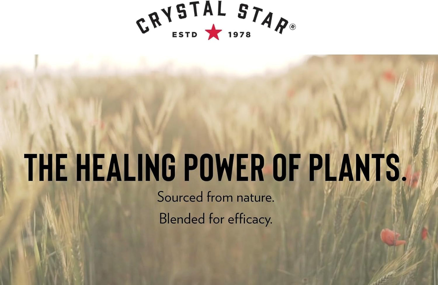 Natural Herbal Supplement for Breast & Uterine Health - Crystal Star Fibro Defense Capsules - 150 Count - Vegetarian & Non GMO Formula for Women