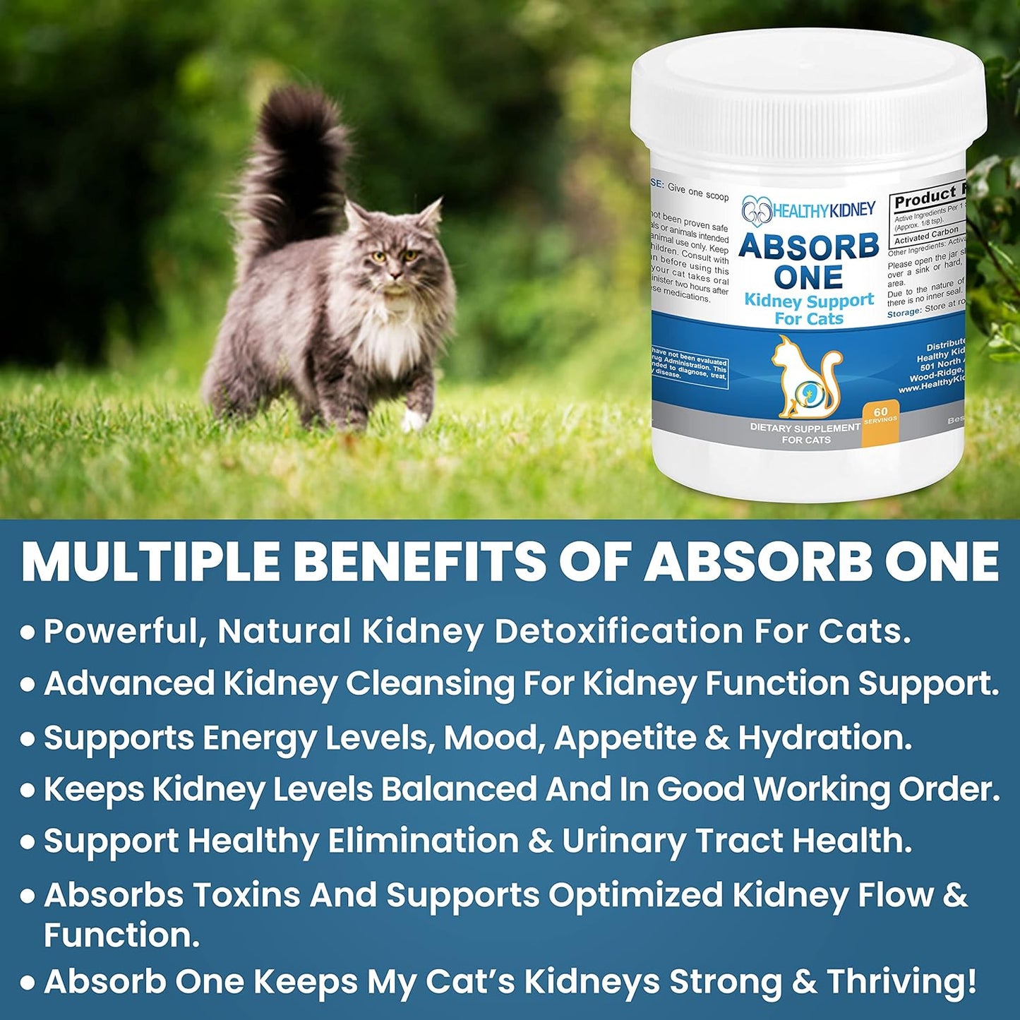 Natural Kidney Support Supplement for Cats - Vet-Formulated Feline Kidney Cleanse for Normal Kidney Function. Compatible with Any Cat Diet. 60 Servings of 1/8 TSP per Day.