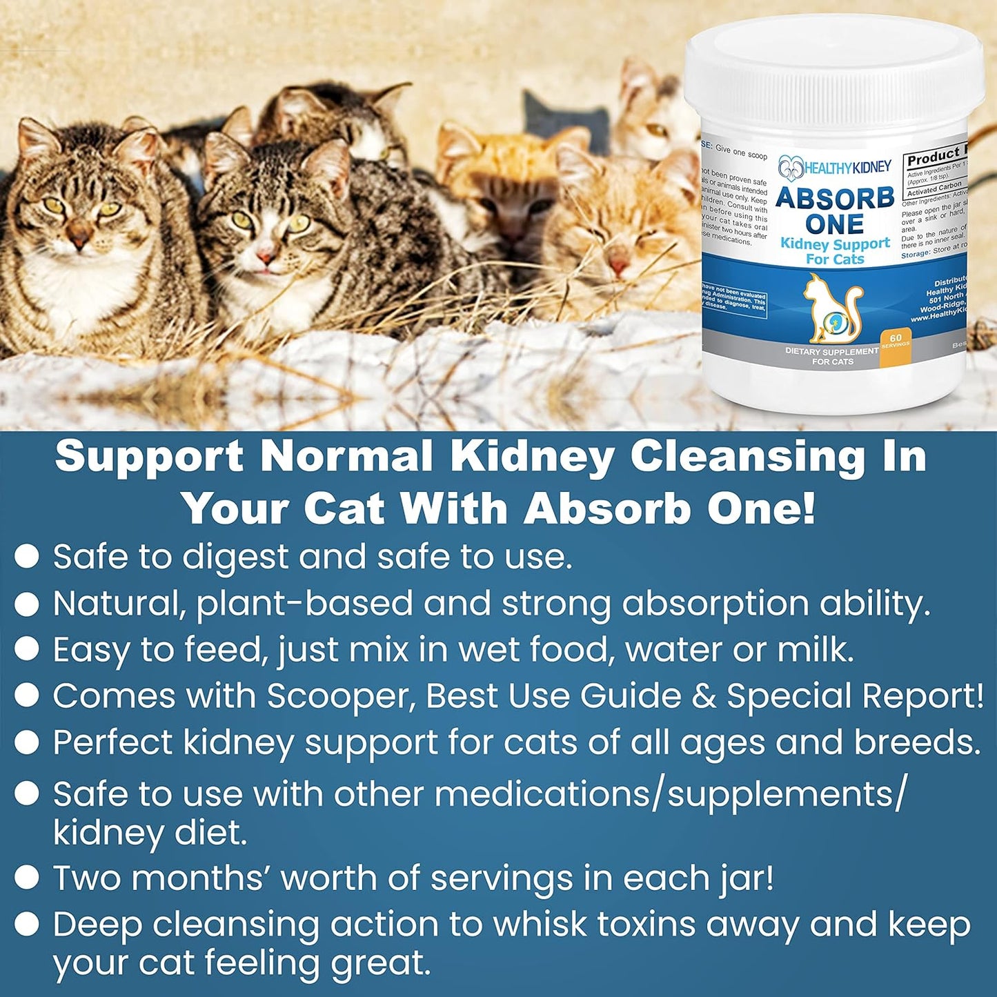 Natural Kidney Support Supplement for Cats - Vet-Formulated Feline Kidney Cleanse for Normal Kidney Function. Compatible with Any Cat Diet. 60 Servings of 1/8 TSP per Day.