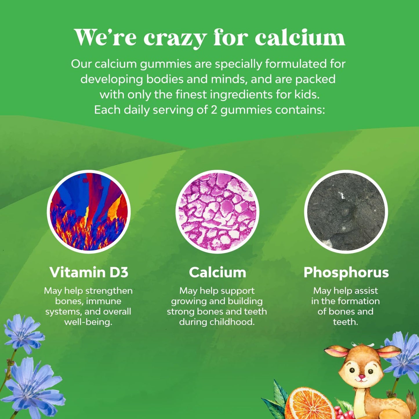 Natural Kids Calcium Gummies with Vitamin D for Healthy Bone & Muscle Development - Gelatin-Free & Kosher - 60ct (1 Pack)