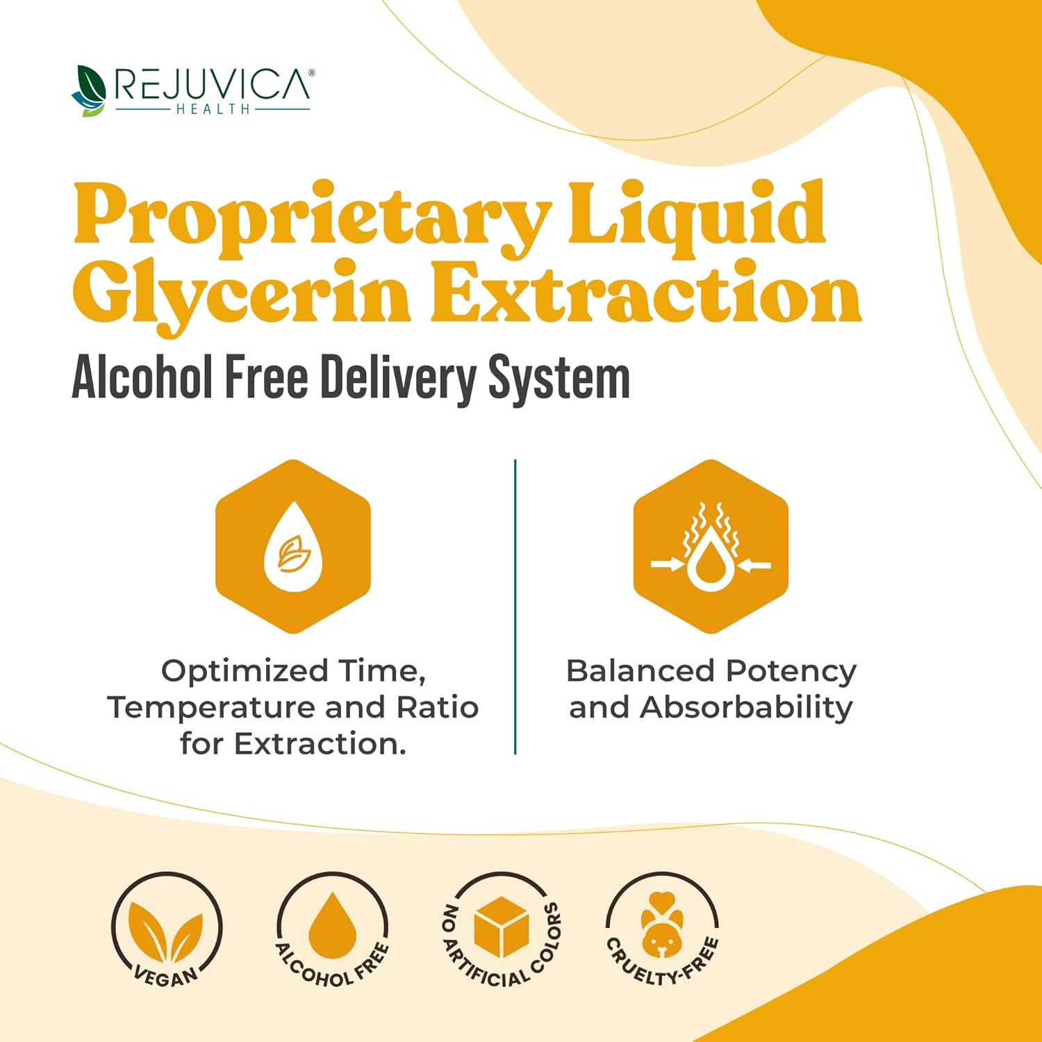 Natural Liquid Turmeric Root Extract with Curcumin for Joint Health - Rejuvica Health Healthy Essentials - Enhanced Absorption Formula