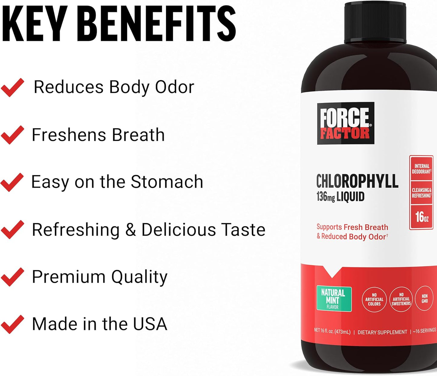 Natural Mint Chlorophyll Liquid Body Deodorizing Supplement, Freshens Breath & Body, Non-GMO, No Artificial Sweeteners, 16 oz.