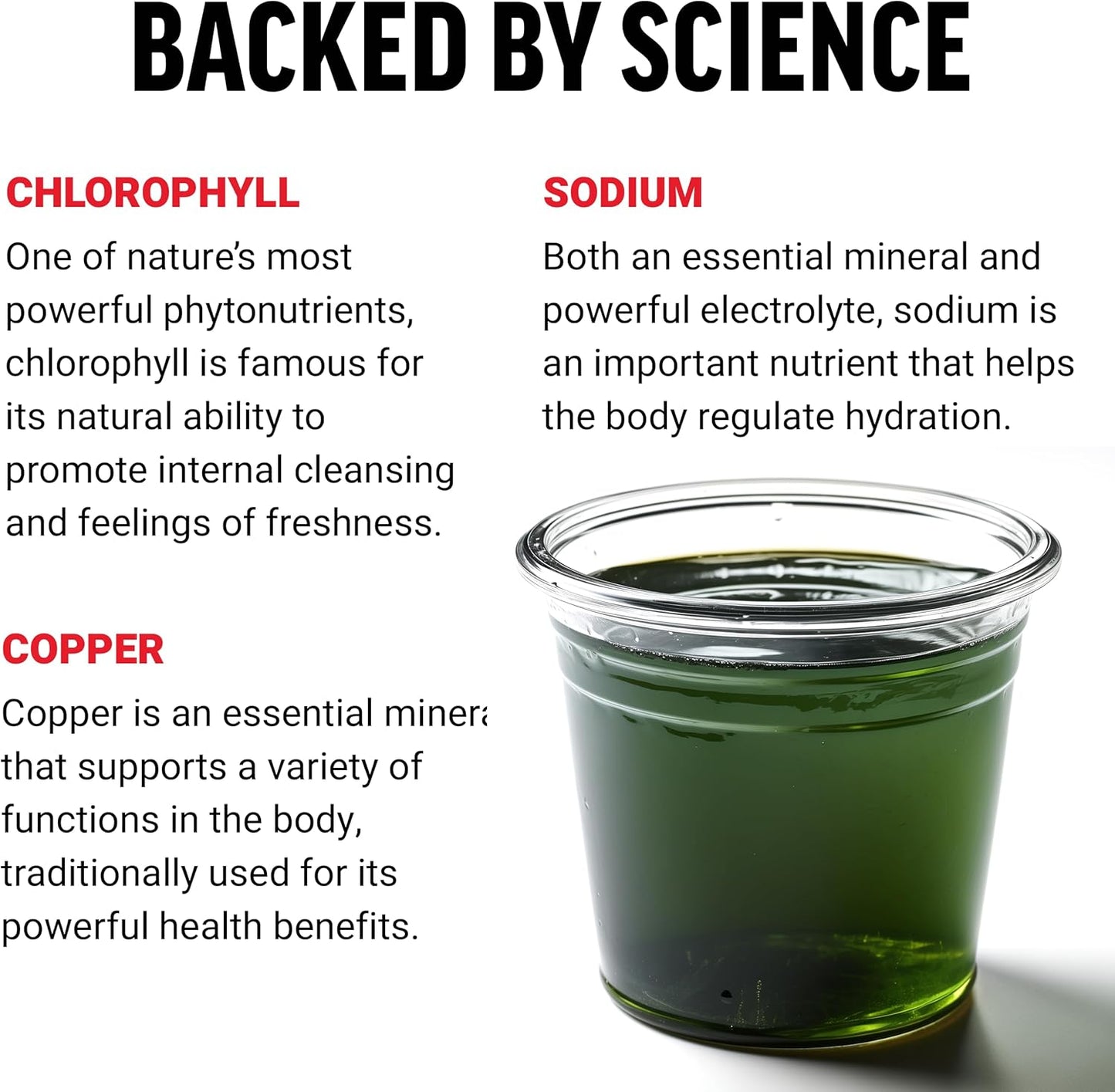Natural Mint Chlorophyll Liquid Body Deodorizing Supplement, Freshens Breath & Body, Non-GMO, No Artificial Sweeteners, 16 oz.
