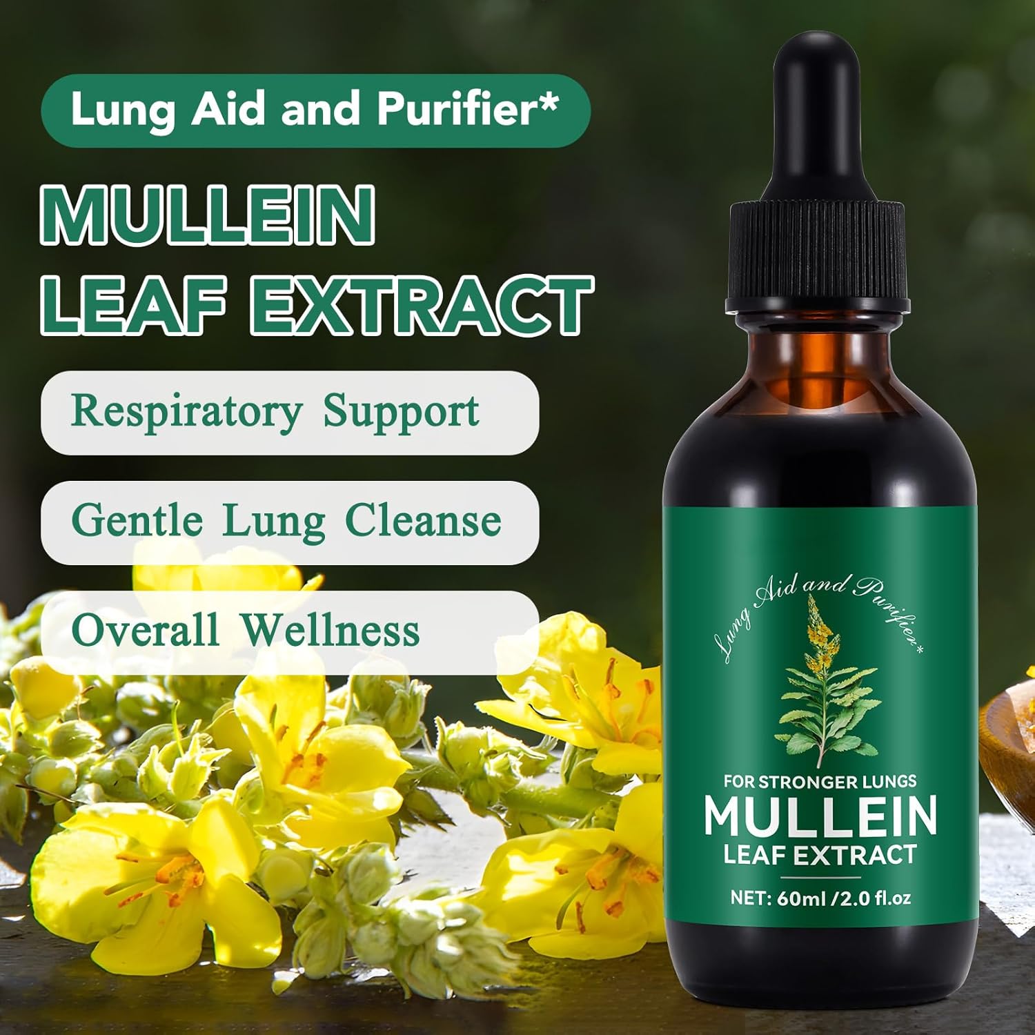 Natural Mullein Leaf Extract for Healthy Respiratory Support - Lung Aid & Cleanser - Fast Absorption - Vegetarian Formula - 60ml, 1 Month Supply