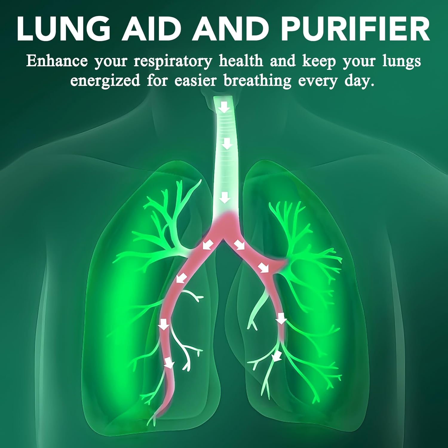 Natural Mullein Leaf Extract for Healthy Respiratory Support - Lung Aid & Cleanser - Fast Absorption - Vegetarian Formula - 60ml, 1 Month Supply