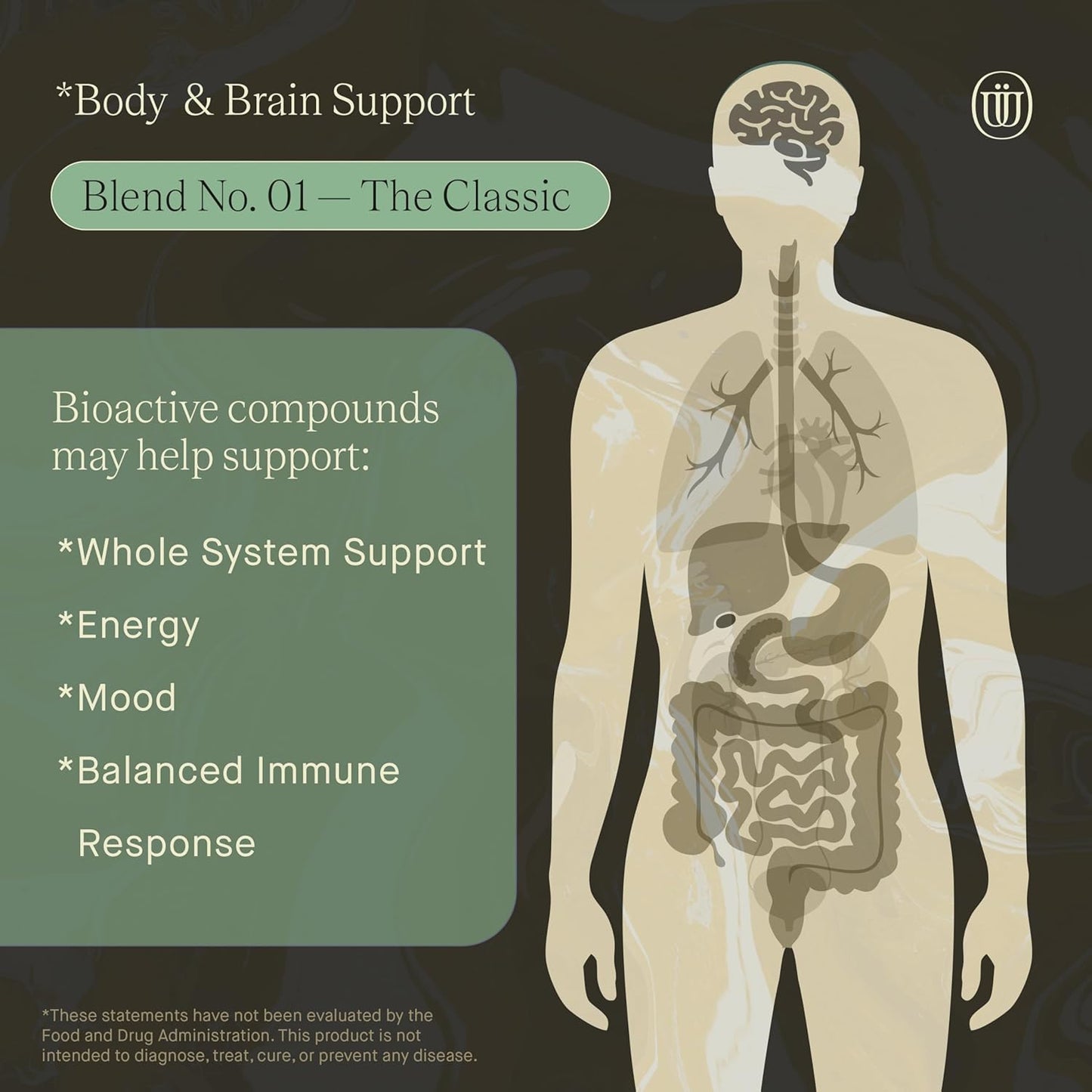 Natural Mushroom Blend Tincture for Immunity Boost & Energy - 6 Types of Mushrooms for Cognitive Function - 240 Servings