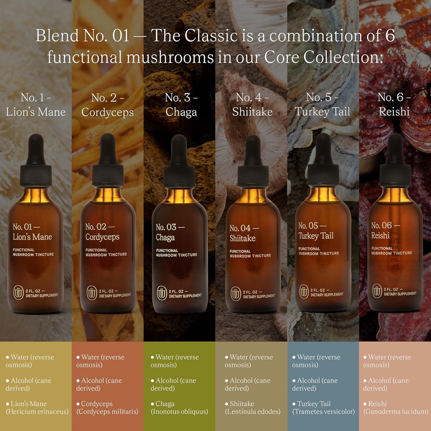 Natural Mushroom Tincture Blend for Immunity, Energy, & Cognitive Function - UPHORIC URTH Blend No.1-6 with Reishi, Chaga, Lions Mane, Turkey Tail, Cordyceps, & Shiitake (240 Servings)