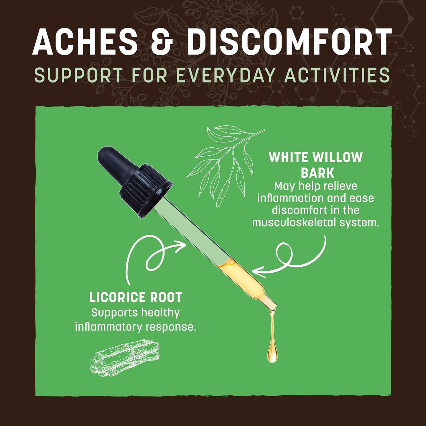 Natural Skin and Paw Soother for Pets | Earth Animal Herbal Remedies | 2 fl oz