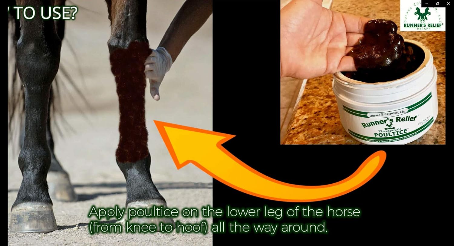 Natural Therapeutic Poultice for Bowed Tendon Injury Relief | Horse Health Clay Tightener | Soothing Treatment for All Breeds | Ideal for Tendons, Ankles, and Ligaments
