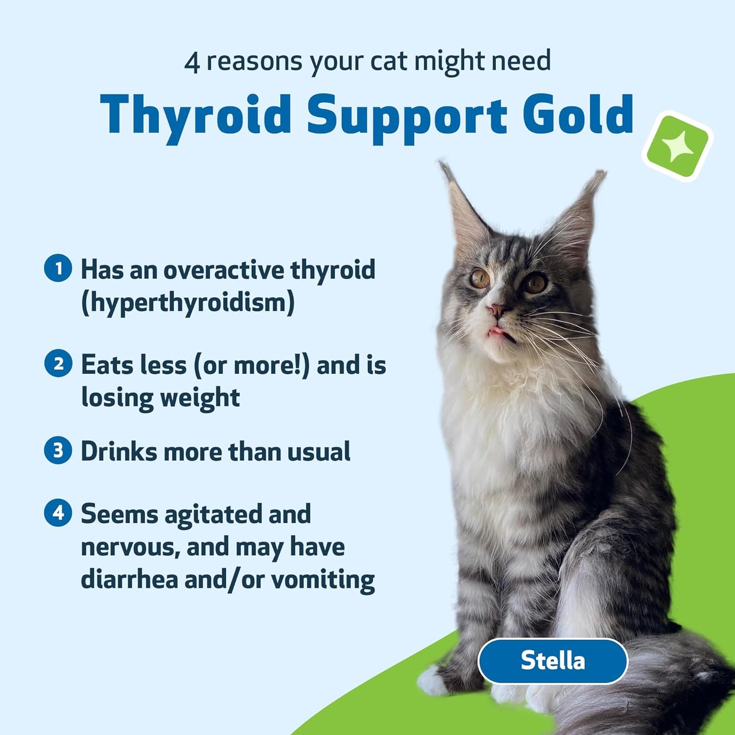 Natural Thyroid Support Supplement for Cats - Promotes Healthy Thyroid Function, Metabolism, Bugleweed & Lemon Balm - 2 fl oz
