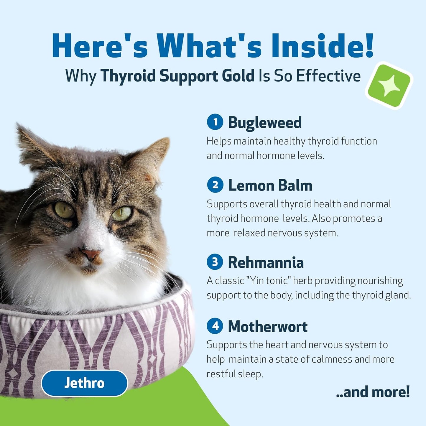 Natural Thyroid Support Supplement for Cats - Promotes Healthy Thyroid Function, Metabolism, Bugleweed & Lemon Balm - 2 fl oz