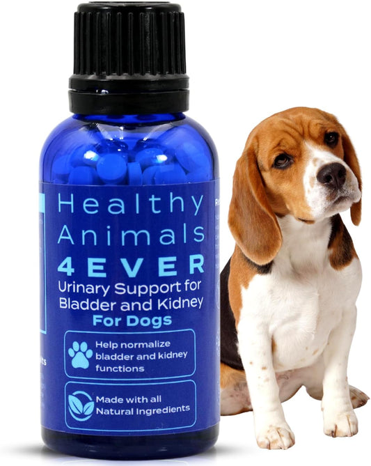 Natural Urinary Support for Dogs - Bladder and Kidney Health - Non-GMO, Organic, Homeopathic - 300 ct