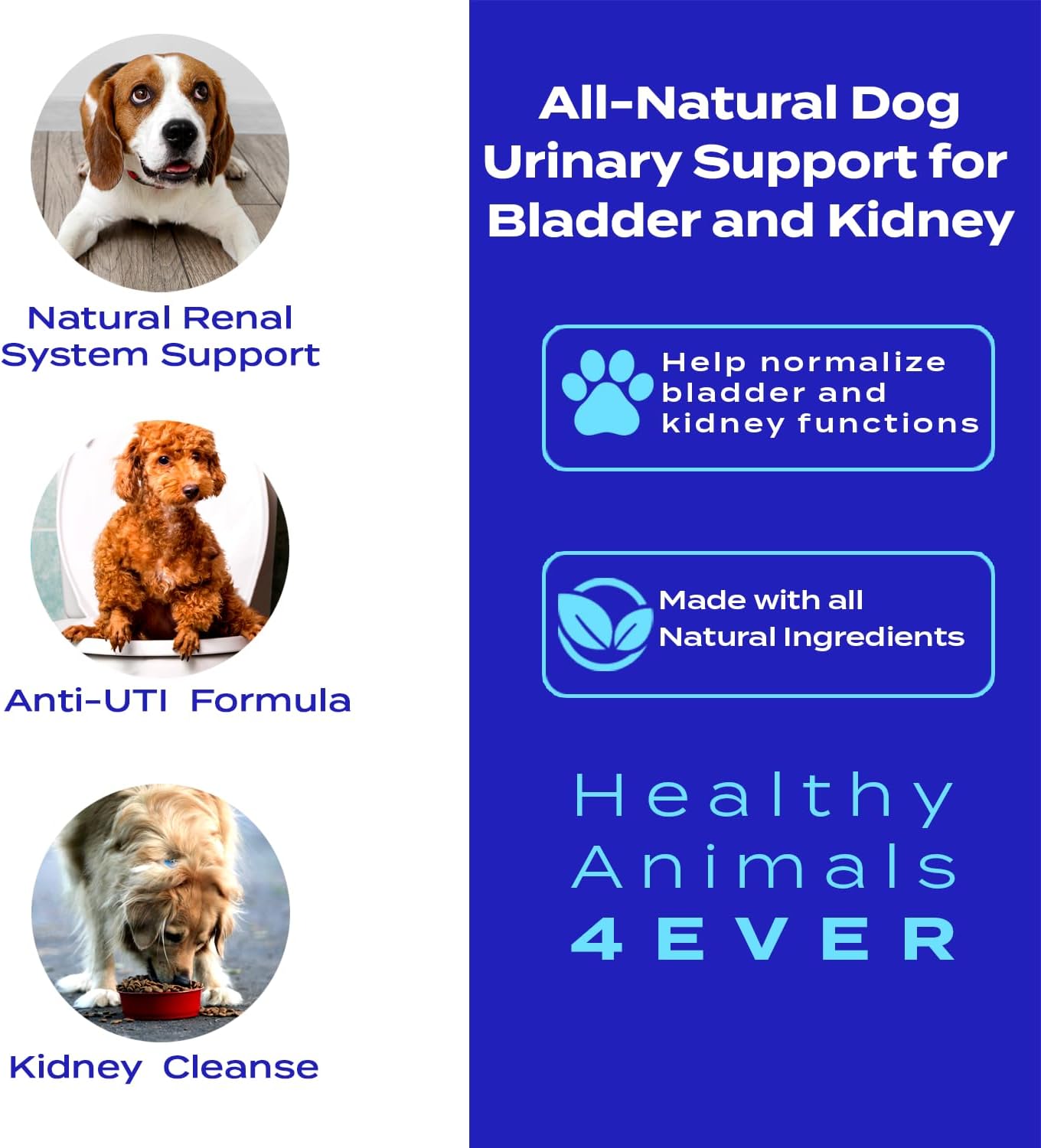 Natural Urinary Support for Dogs - Bladder and Kidney Health - Non-GMO, Organic, Homeopathic - 300 ct