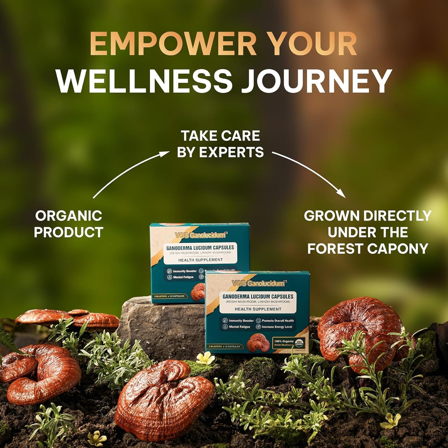 Natural Vegan Red Reishi Mushroom Capsules for Immunity Support - Ganoderma lucidum Extract, 70mg, 30ct