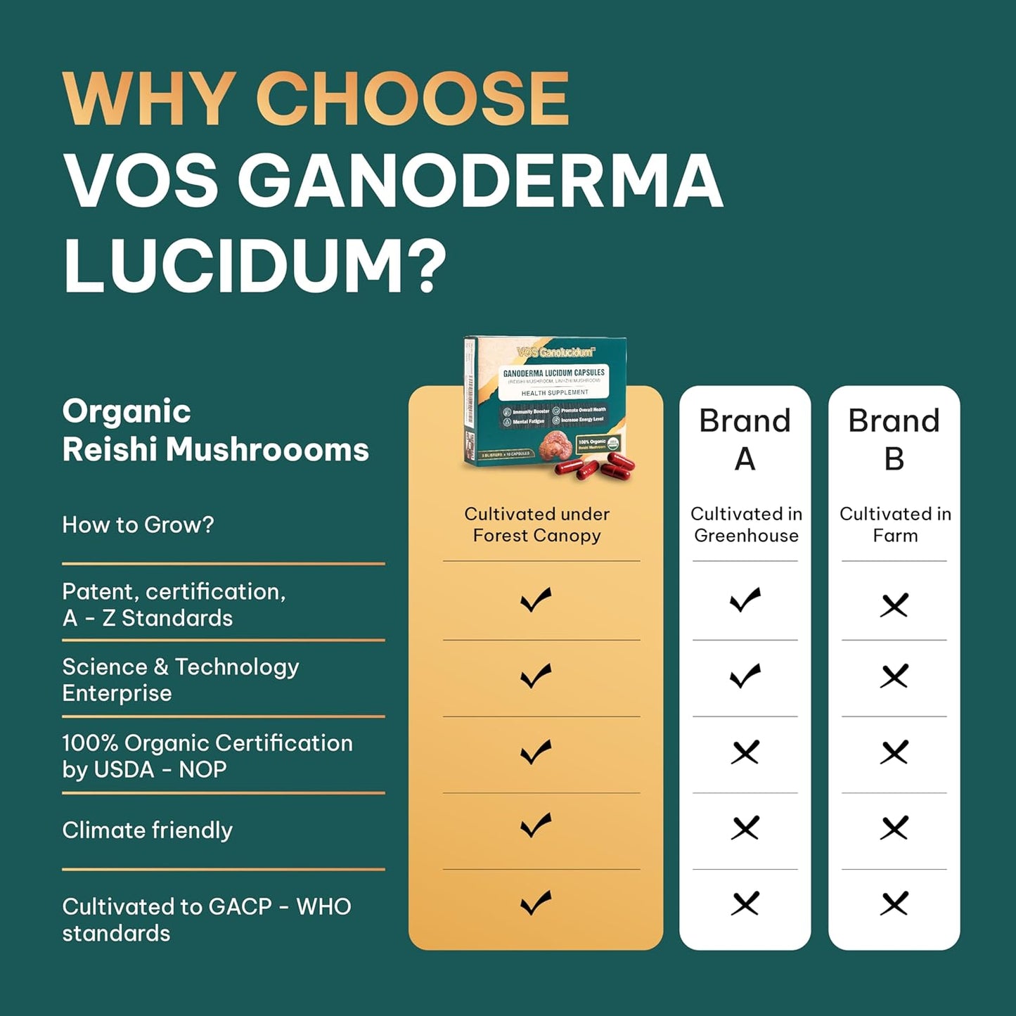 Natural Vegan Red Reishi Mushroom Capsules for Immunity Support - Ganoderma lucidum Extract, 70mg, 30ct