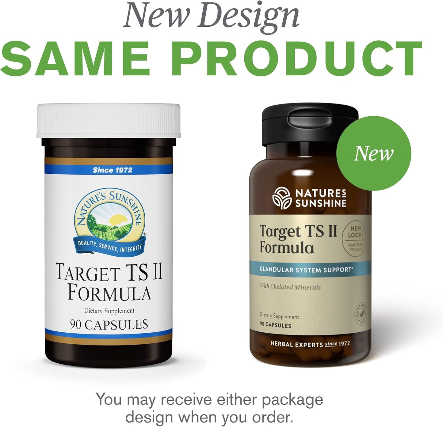 Natural Weight Management Support with Nature's Sunshine Target TS II - 90 Capsules