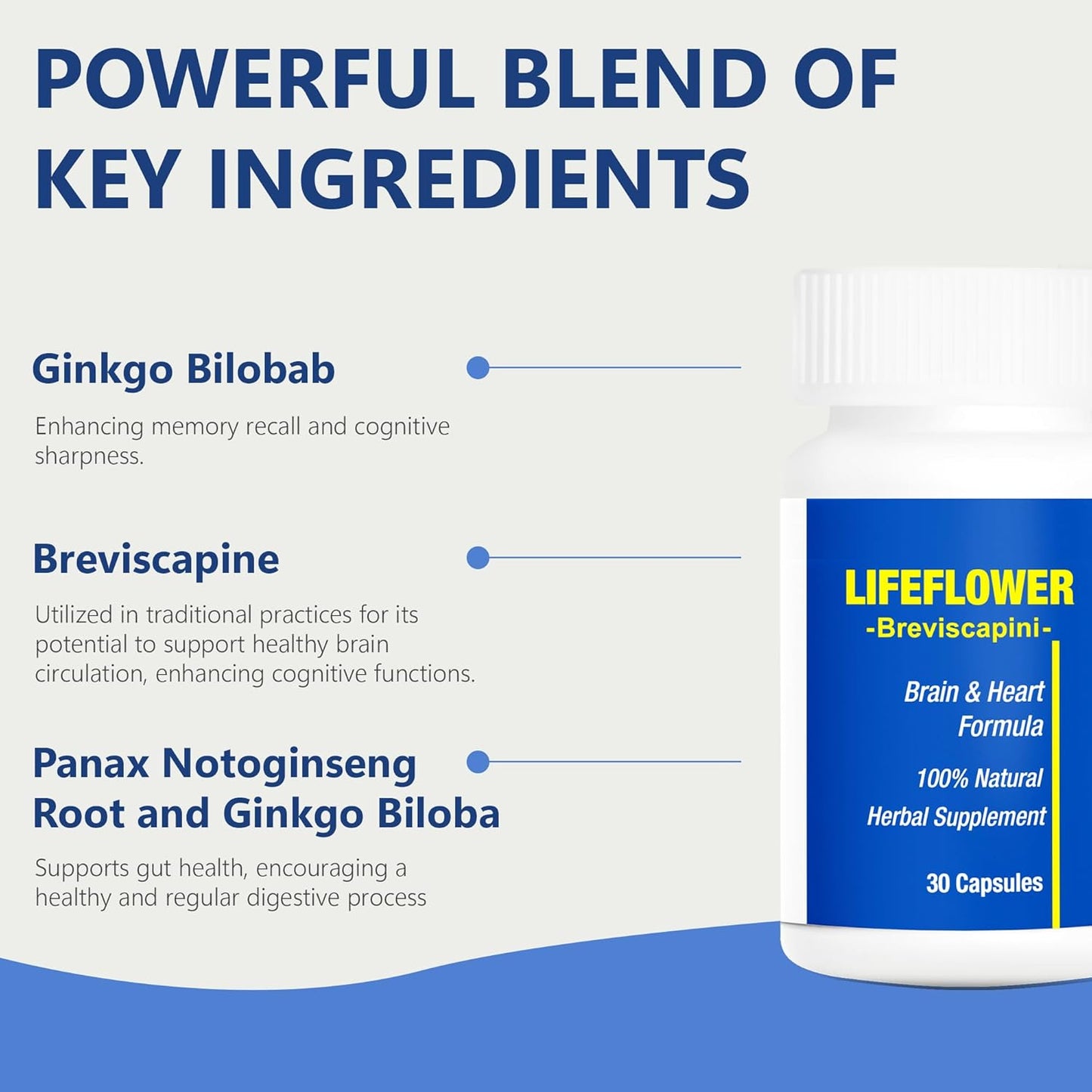 Natural Youthful Brain Supplement, Supports Cerebrovascular System, Enhances Memory, 30 Capsules