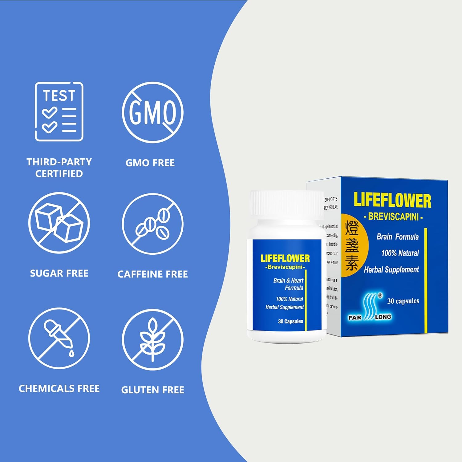 Natural Youthful Brain Supplement, Supports Cerebrovascular System, Enhances Memory, 30 Capsules