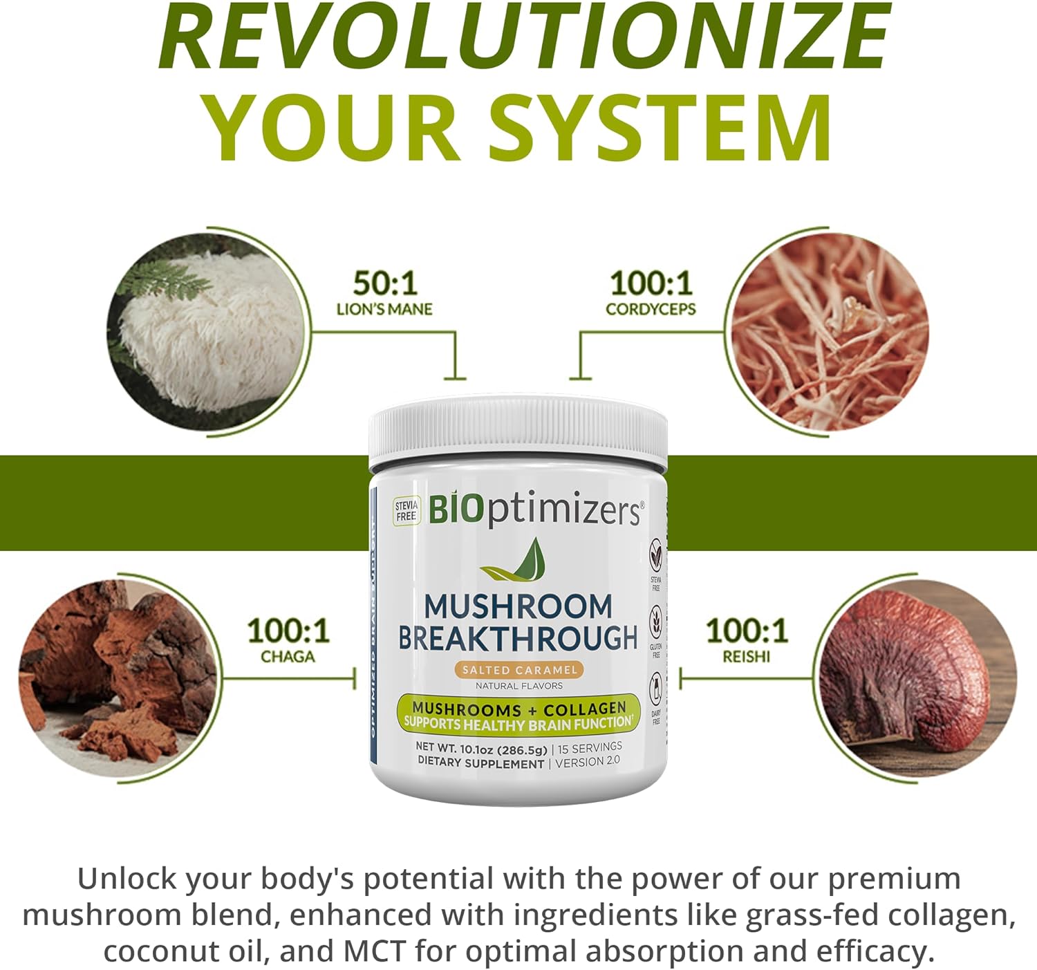 Naturally Boost Sleep and Brain Function with BiOptimizers Magnesium and Mushroom Bundle