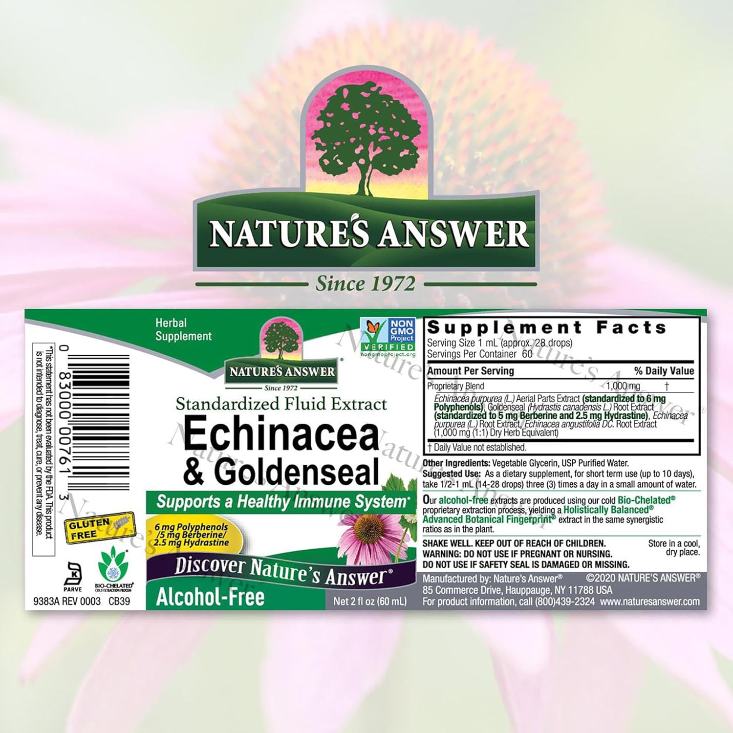 Nature's Answer Echinacea & Goldenseal Extract - Supports Immune Health - Super Concentrated Formula - 2oz, Alcohol-Free, Gluten-Free, Vegan, Kosher