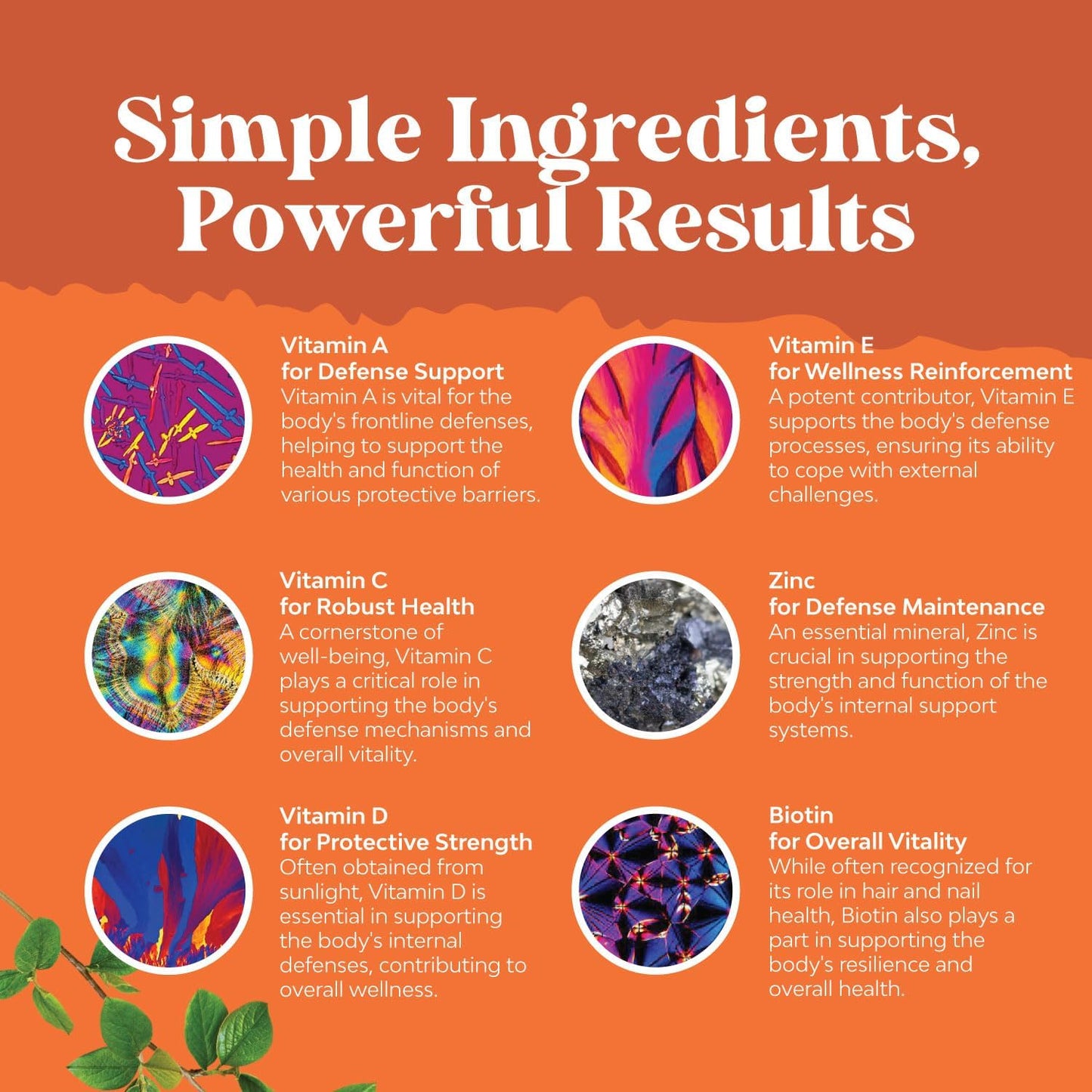 Natures Craft Daily Multivitamin Gummies for Adults - Wellness Blend with Vitamin D, C, E, B12, Zinc, Biotin, and Iron - High Strength 45mg per Serving Gentle Gummies for Men and Women