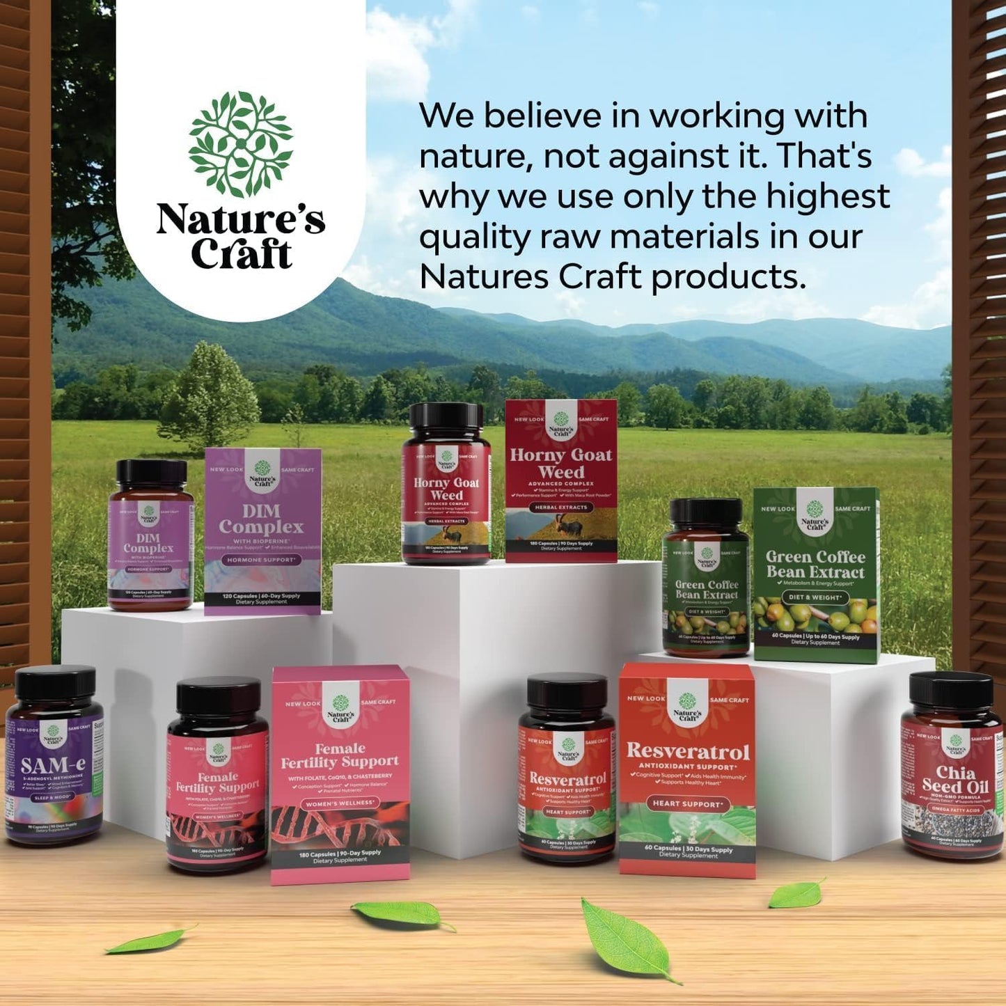 Natures Craft Phytoral Mind and Memory Supplement with Green Tea Extract and Vitamins - 60 Capsules for Brain Function and Mental Clarity