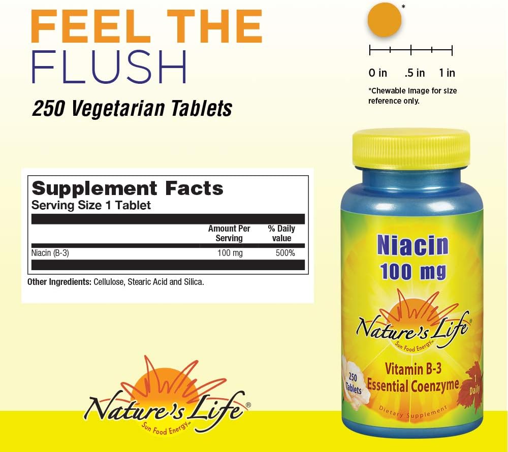 Natures Life Niacin 100mg Supplement for Healthy Blood Lipid, Circulation, and Skin - 250CT