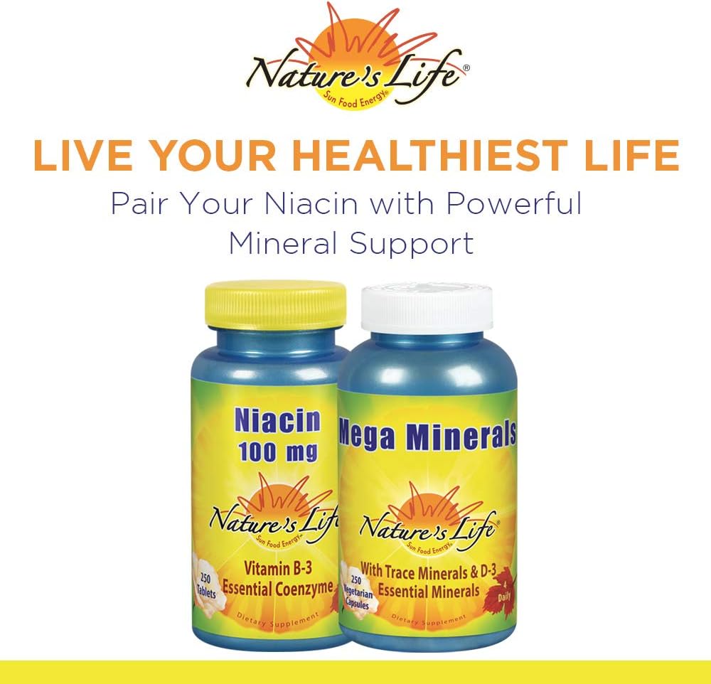 Natures Life Niacin 100mg Supplement for Healthy Blood Lipid, Circulation, and Skin - 250CT