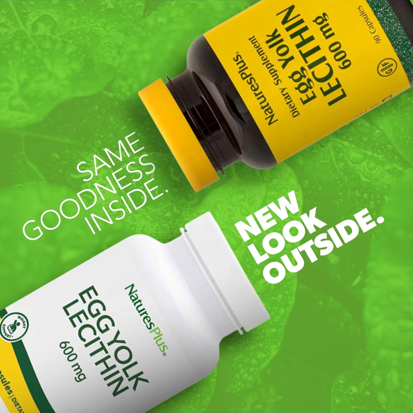 Natures Plus Egg Yolk Lecithin 600 mg - 180 Vegetarian Capsules for Improved Health and Wellness