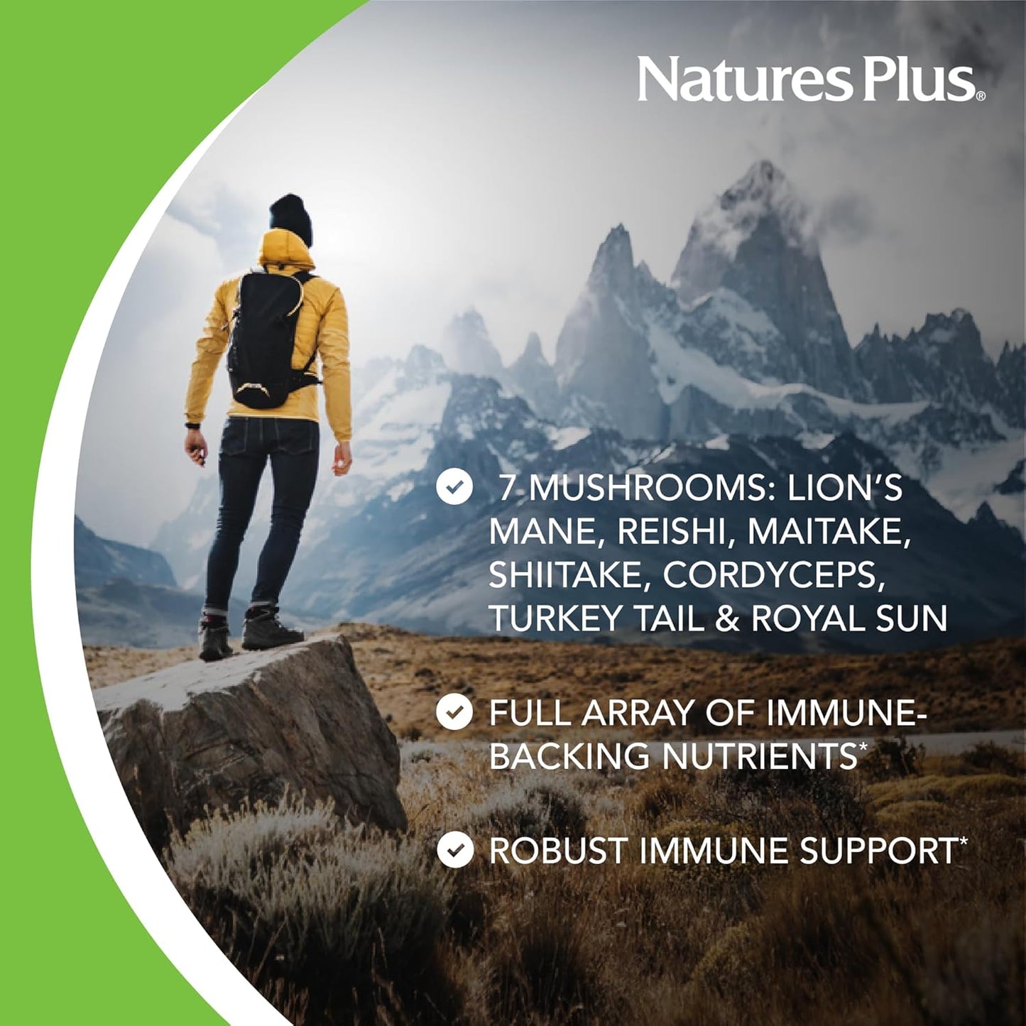 Natures Plus Immune Mushroom Capsules - Fruiting Body Complex from 7 Mushrooms - Key Micronutrients - Vegan, Gluten Free