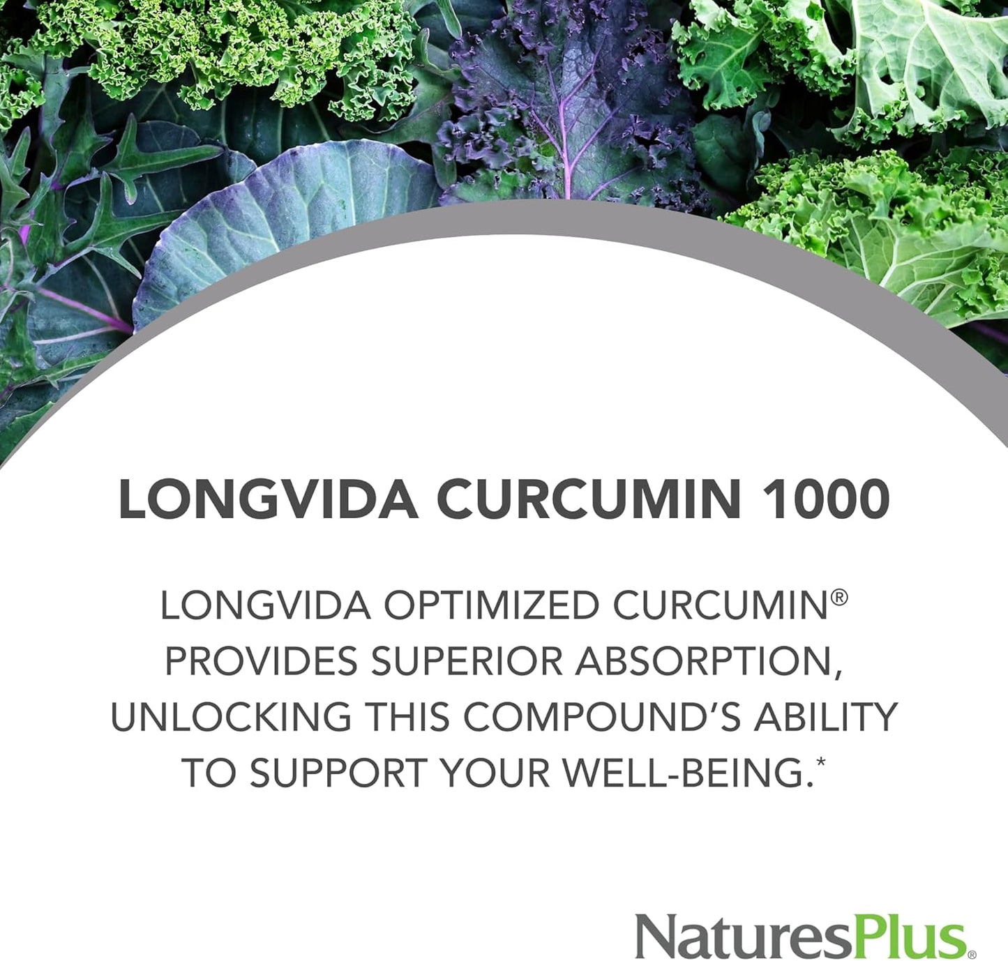 Natures Plus Longvida Curcumin 1000mg Tablets - Vegan, Non-GMO, Gluten-Free - Supports Free Radical Protection - 30 Servings