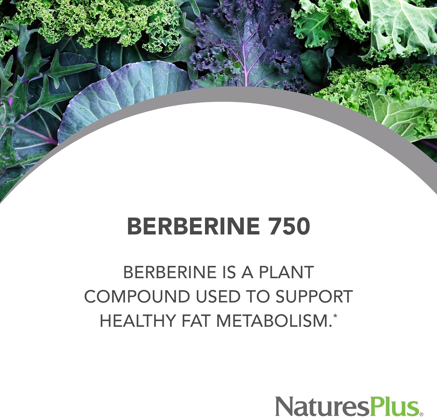 Natures Plus PRO Berberine Capsules 750mg - 60ct - Supports Metabolism - Non-GMO, Vegan, Gluten-Free - 30 Servings