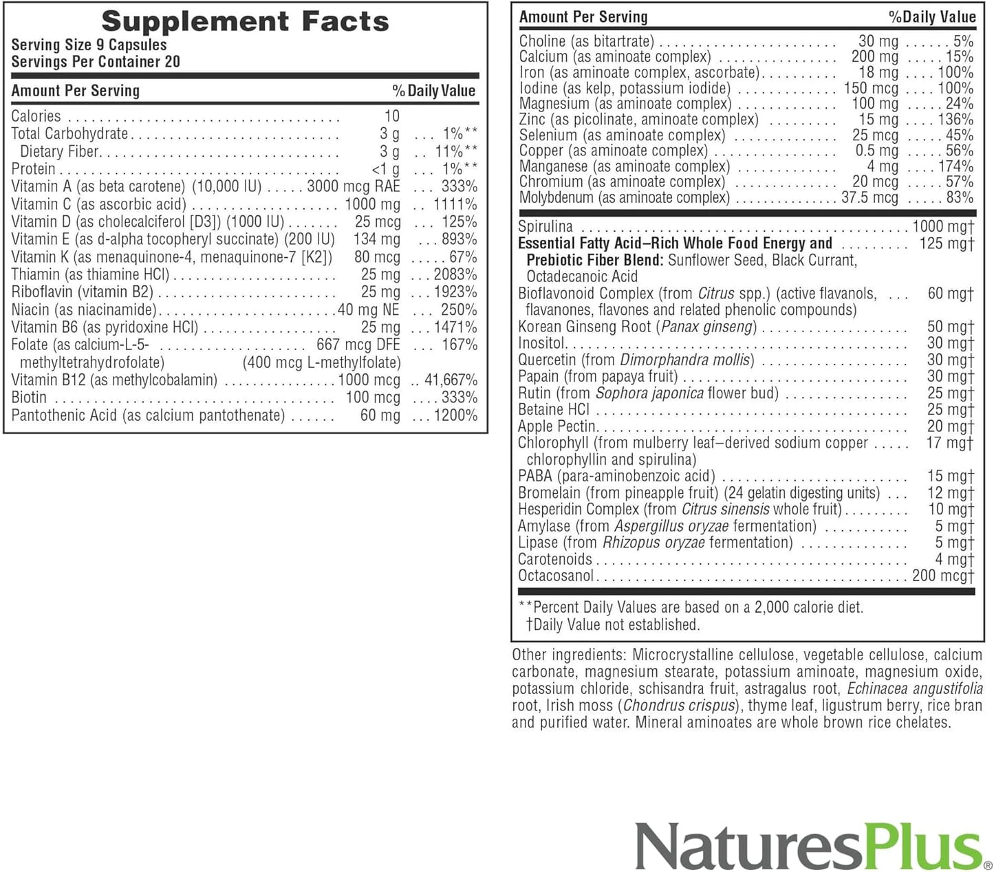 Natures Plus Source of Life Capsules: Multivitamin & Mineral Supplement for Energy & Well-Being - 180 Capsules, Gluten-Free, Vegetarian - 60 Servings