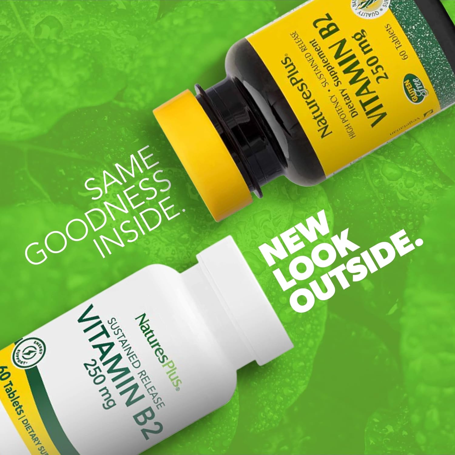 Natures Plus Vitamin B2 (Riboflavin) 250mg Sustained Release Tablets - Natural Energy Booster, Metabolism Support - Vegetarian, Gluten-Free - 60 Servings