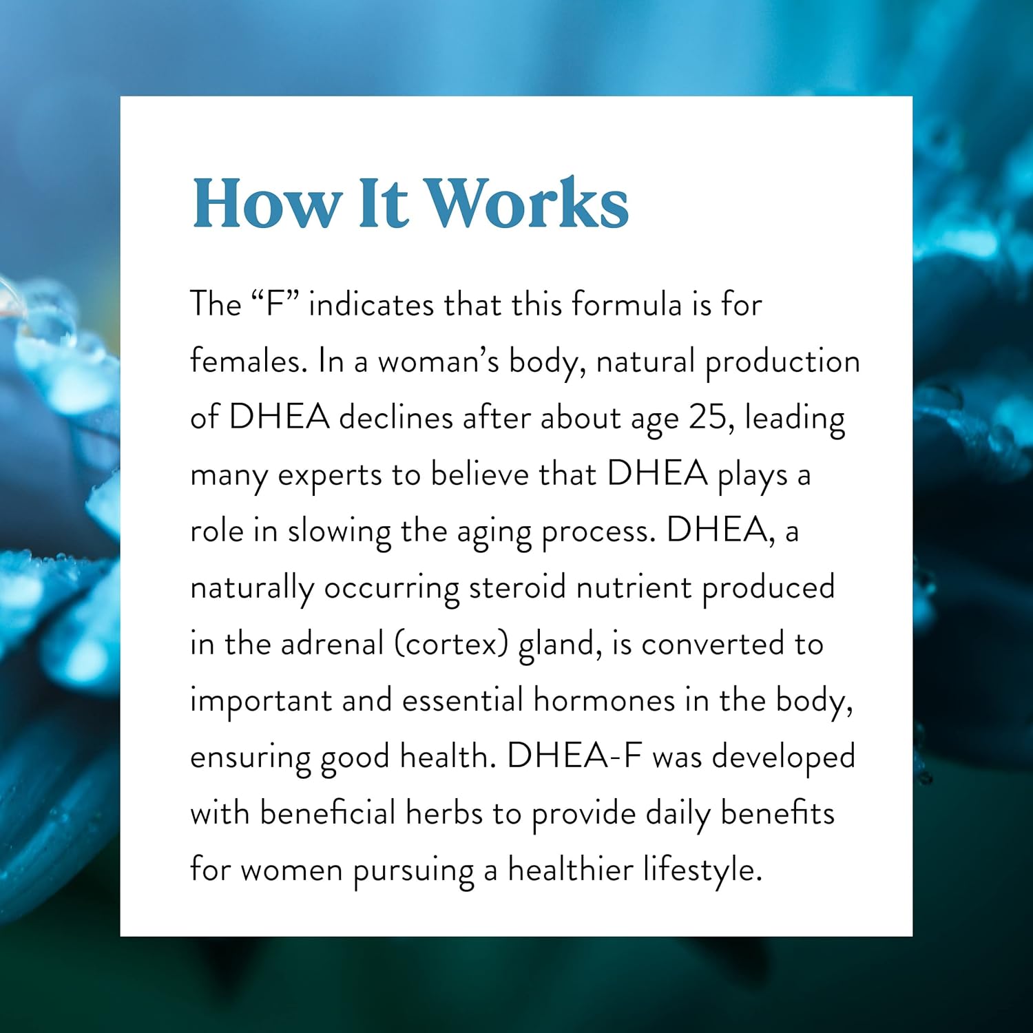 Nature's Sunshine DHEA-F Capsules - Women's Formula for Energy, Sleep, Joints, Metabolism, Mental Function | 100 Count