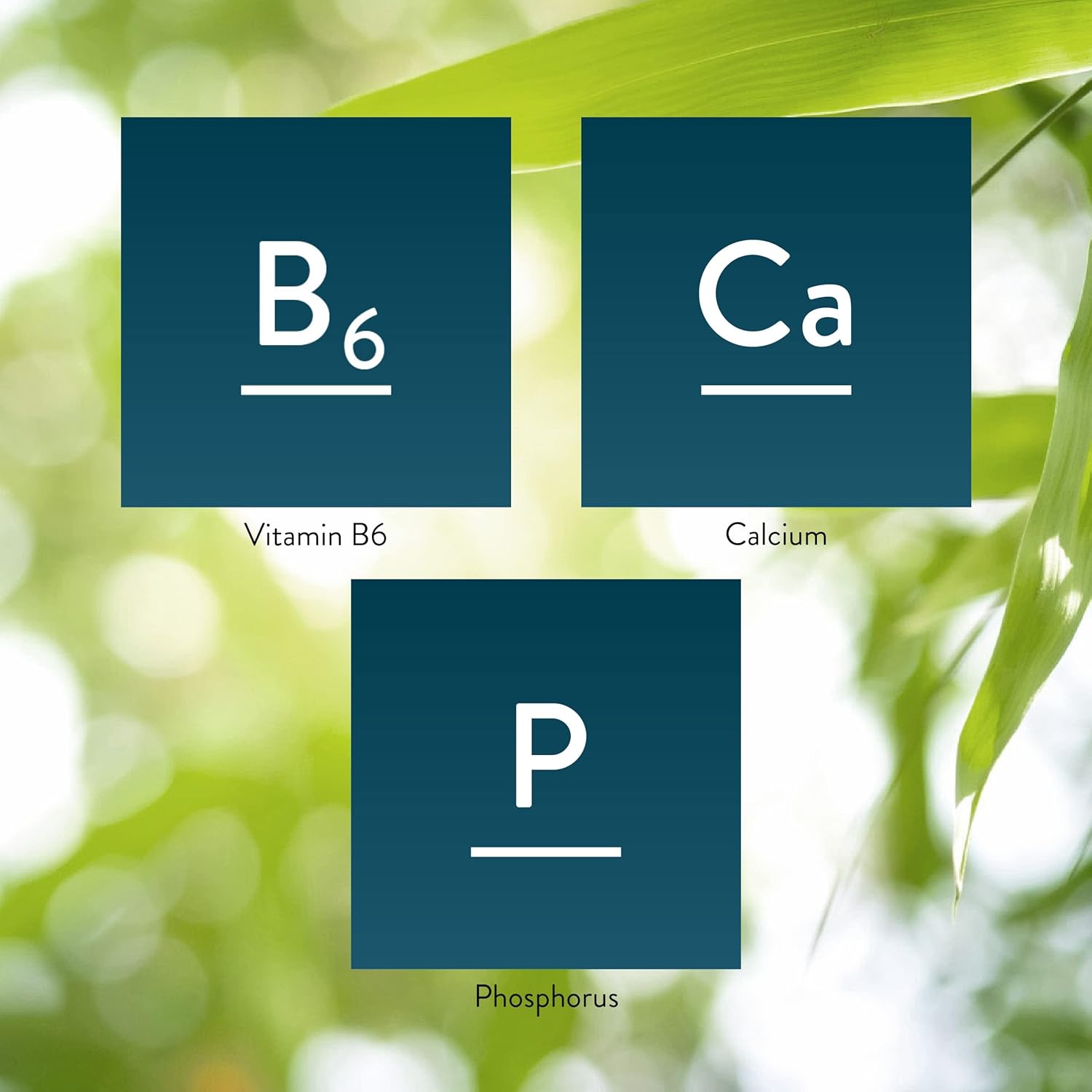 Nature's Sunshine Yonune NLMUBR LUCKSIT Vitamin B6 Tablets - 120 Count